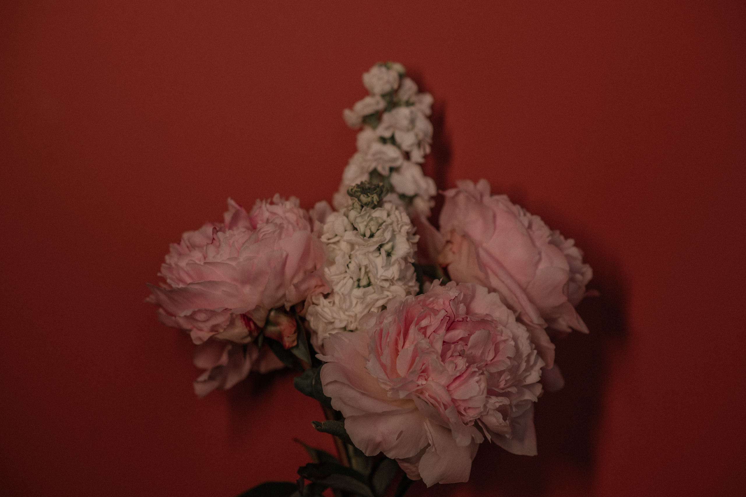 I will always choose you. Wedding and commercial photographer