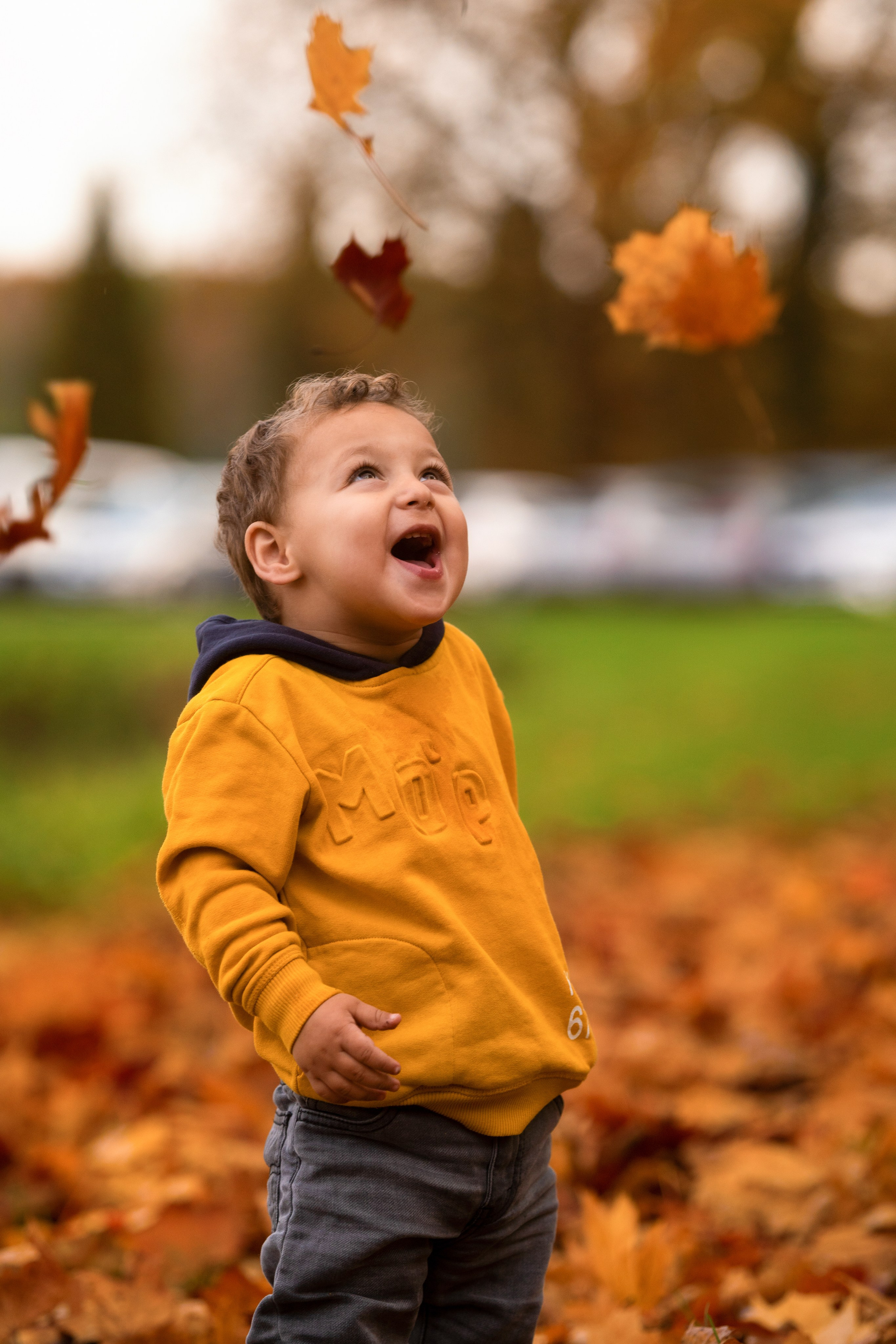Herbstfotoshootings. Hochzeitfotografin in Lübbecke, Bielefeld, Espelkamp, NRW  Deutchland