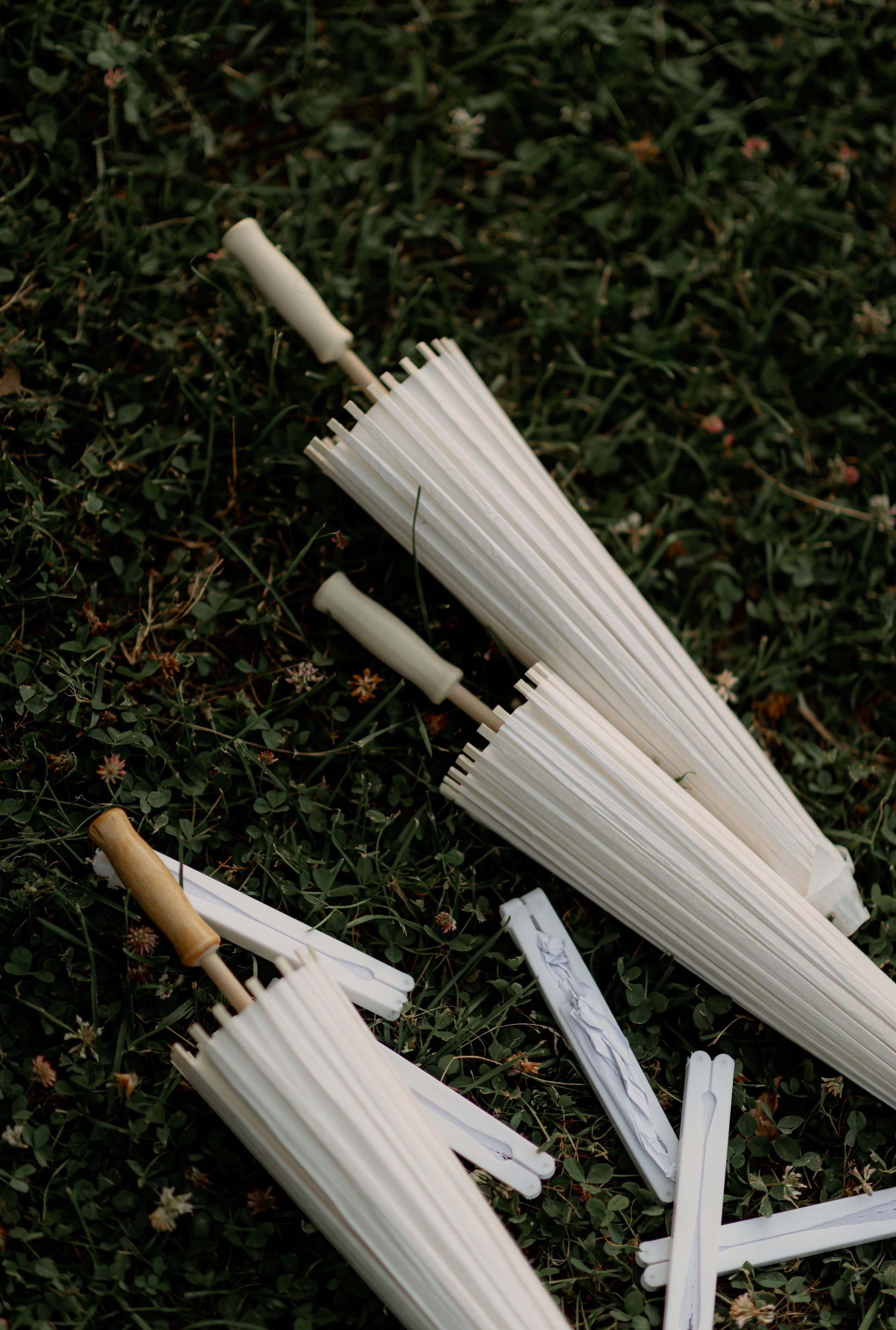 *. Maanukki photographer