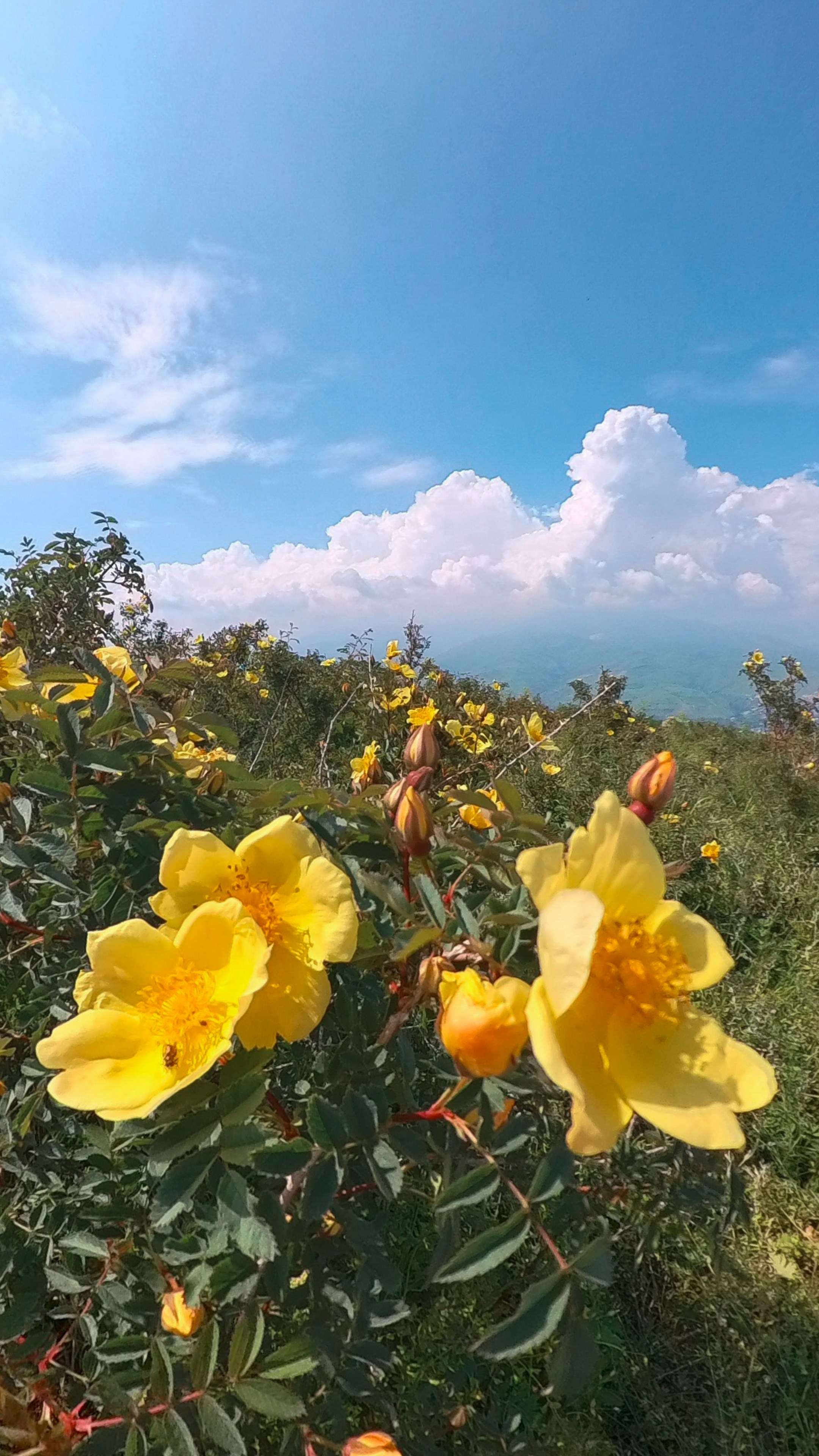 Uzbekistan 2024. Photographer Marina, city of Nuremberg