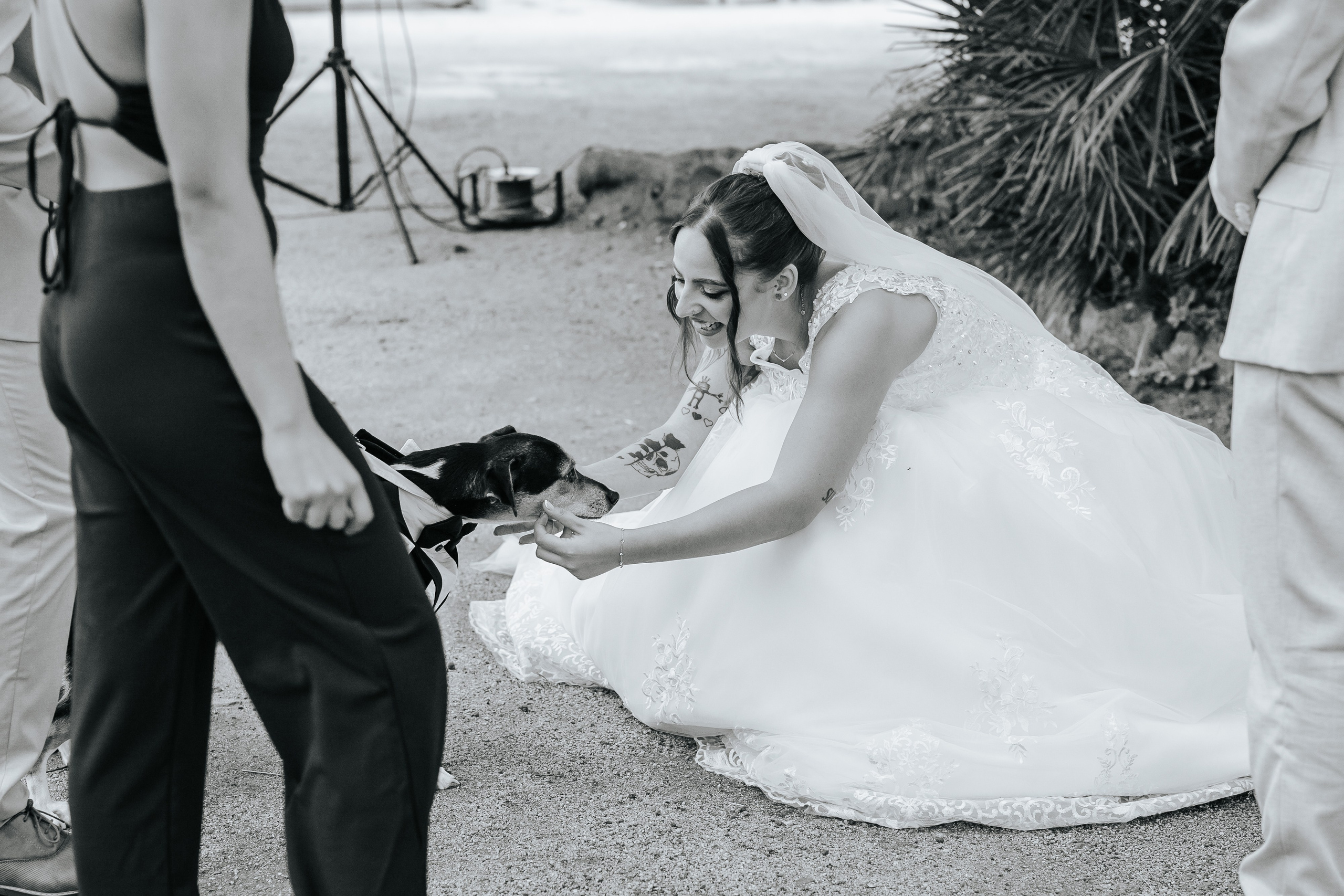 Marta+Adria, 27.09.2025, Can Caballe. Wedding photographer in Catalonia