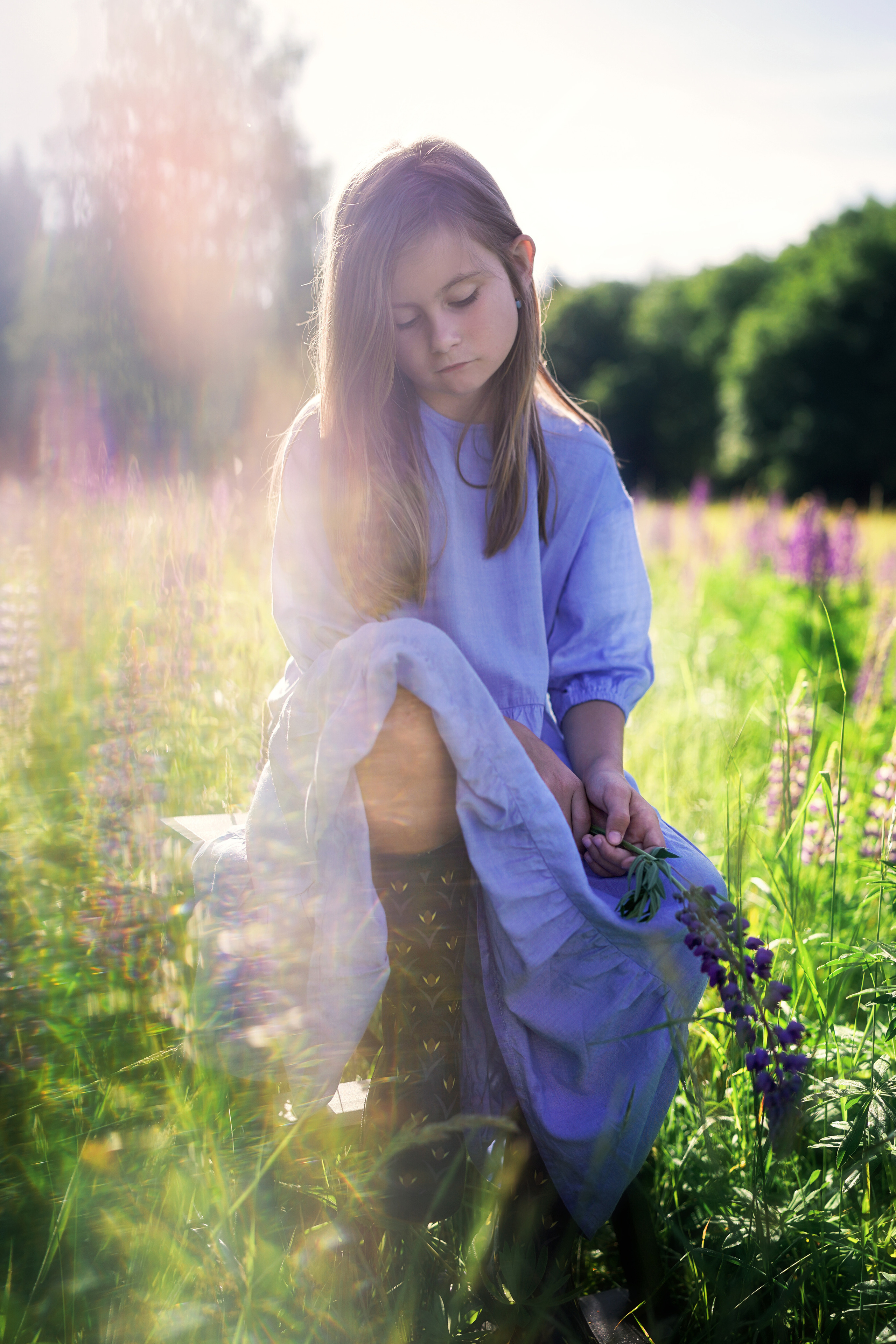 Дикие люпины. Семейный, детский и женский фотограф в Германии, Трире