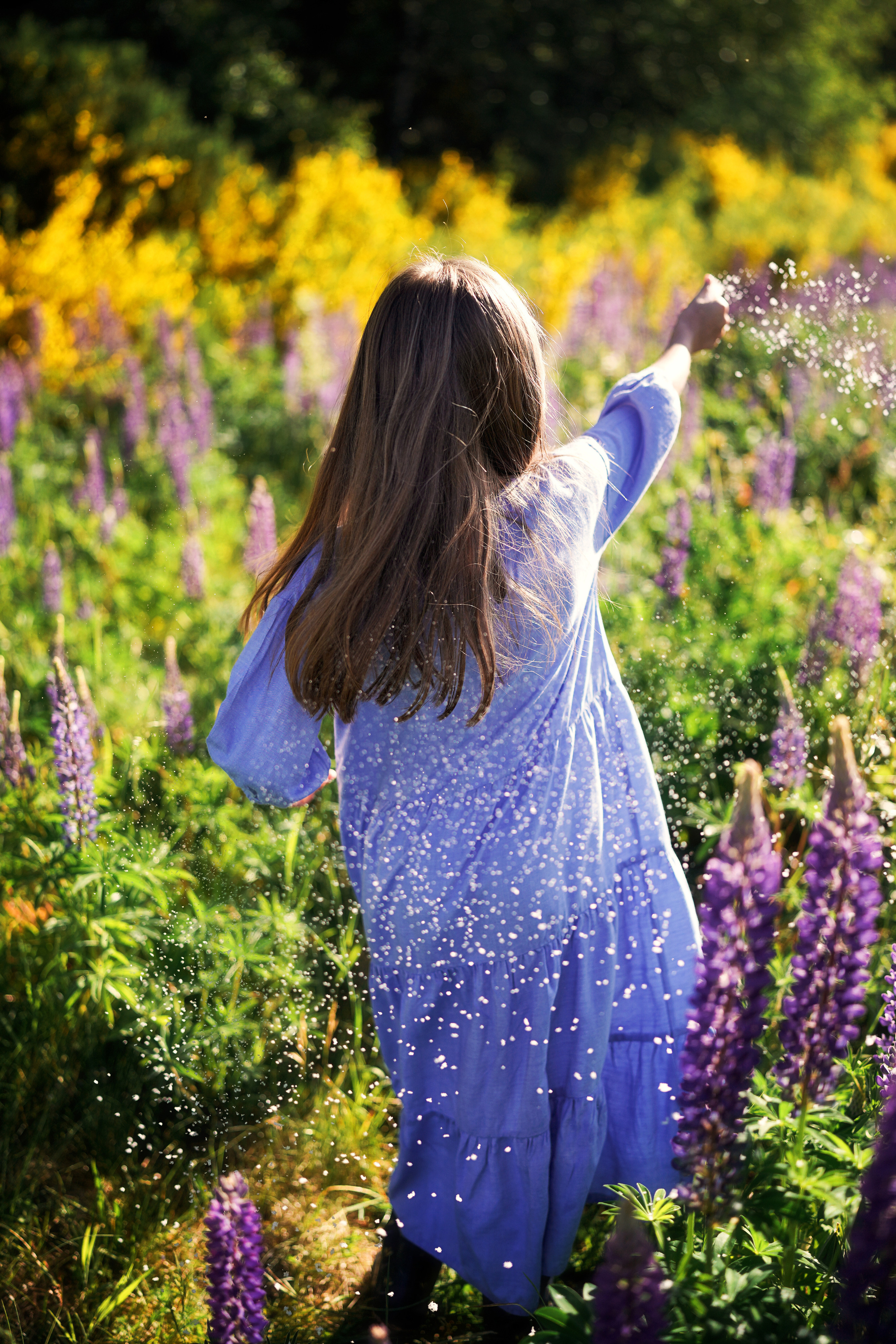 Дикие люпины. Семейный, детский и женский фотограф в Германии, Трире