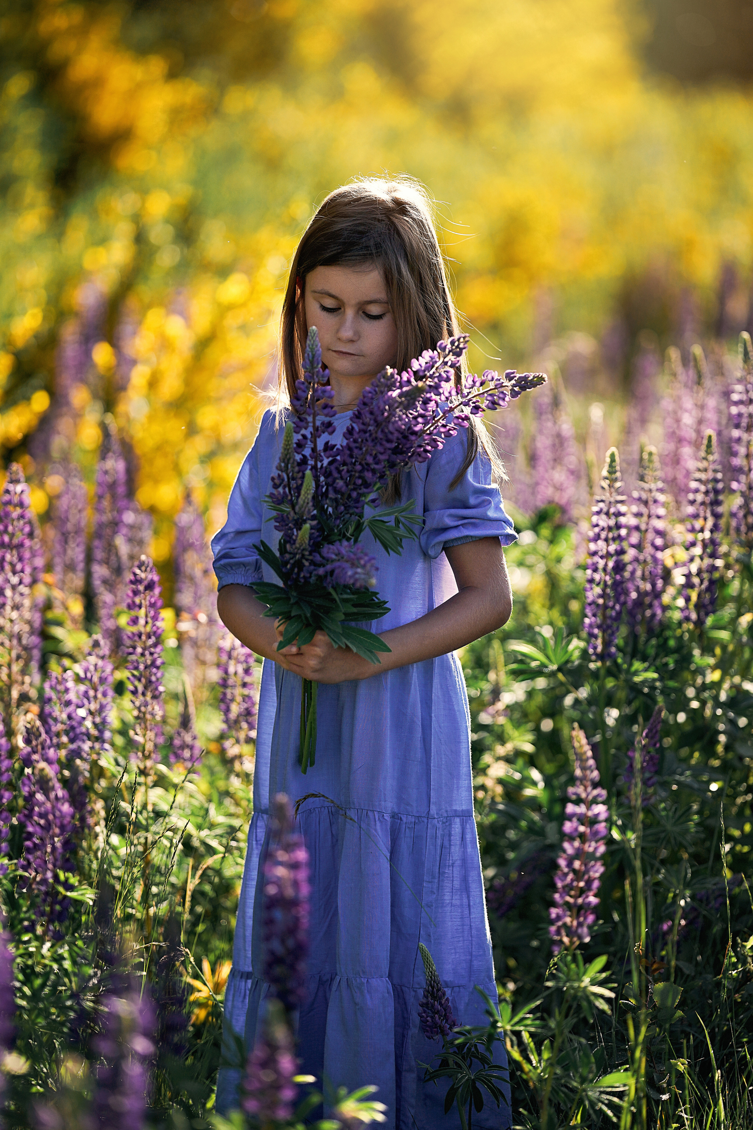 Дикие люпины. Семейный, детский и женский фотограф в Германии, Трире
