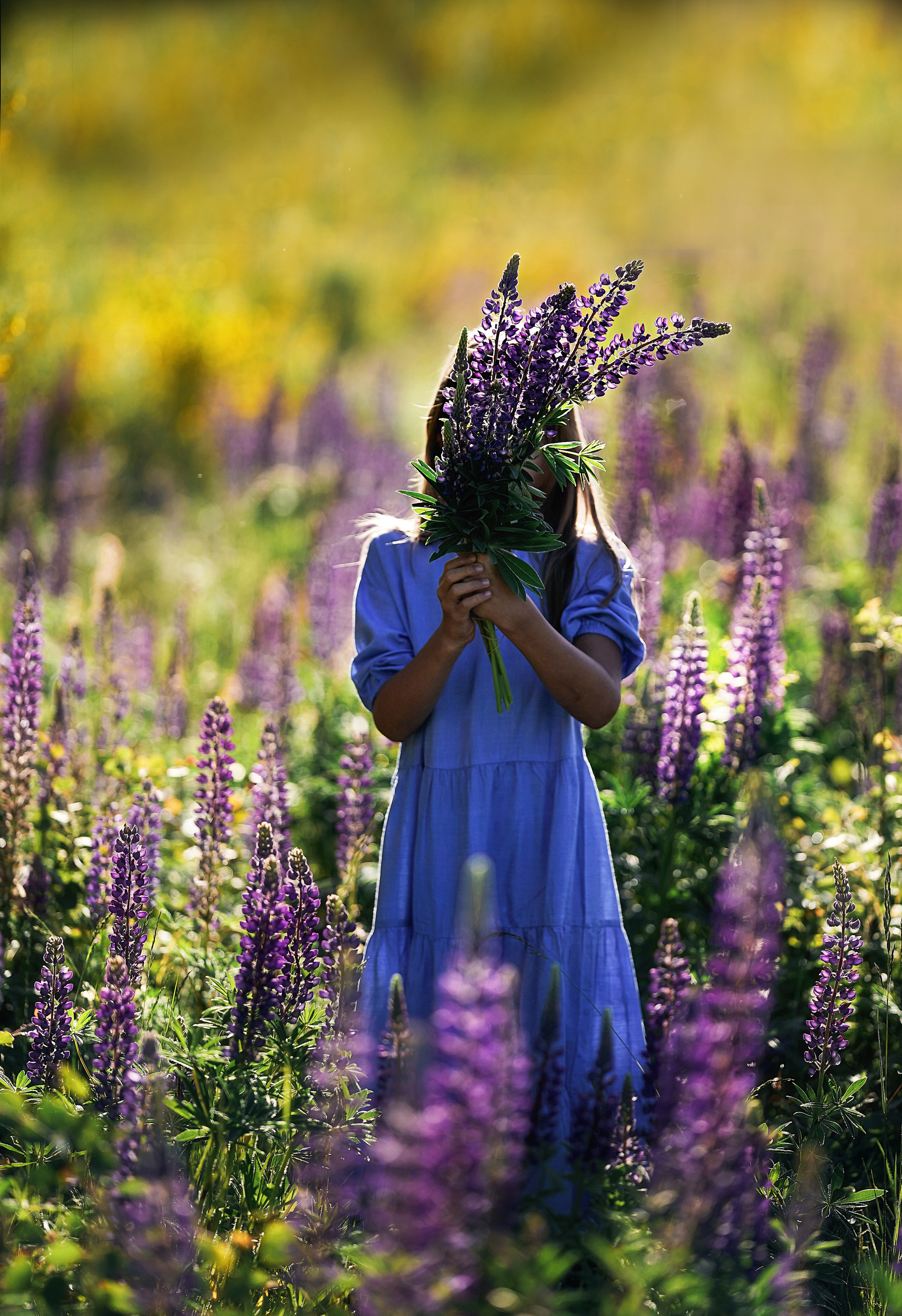 Дикие люпины. Семейный, детский и женский фотограф в Германии, Трире