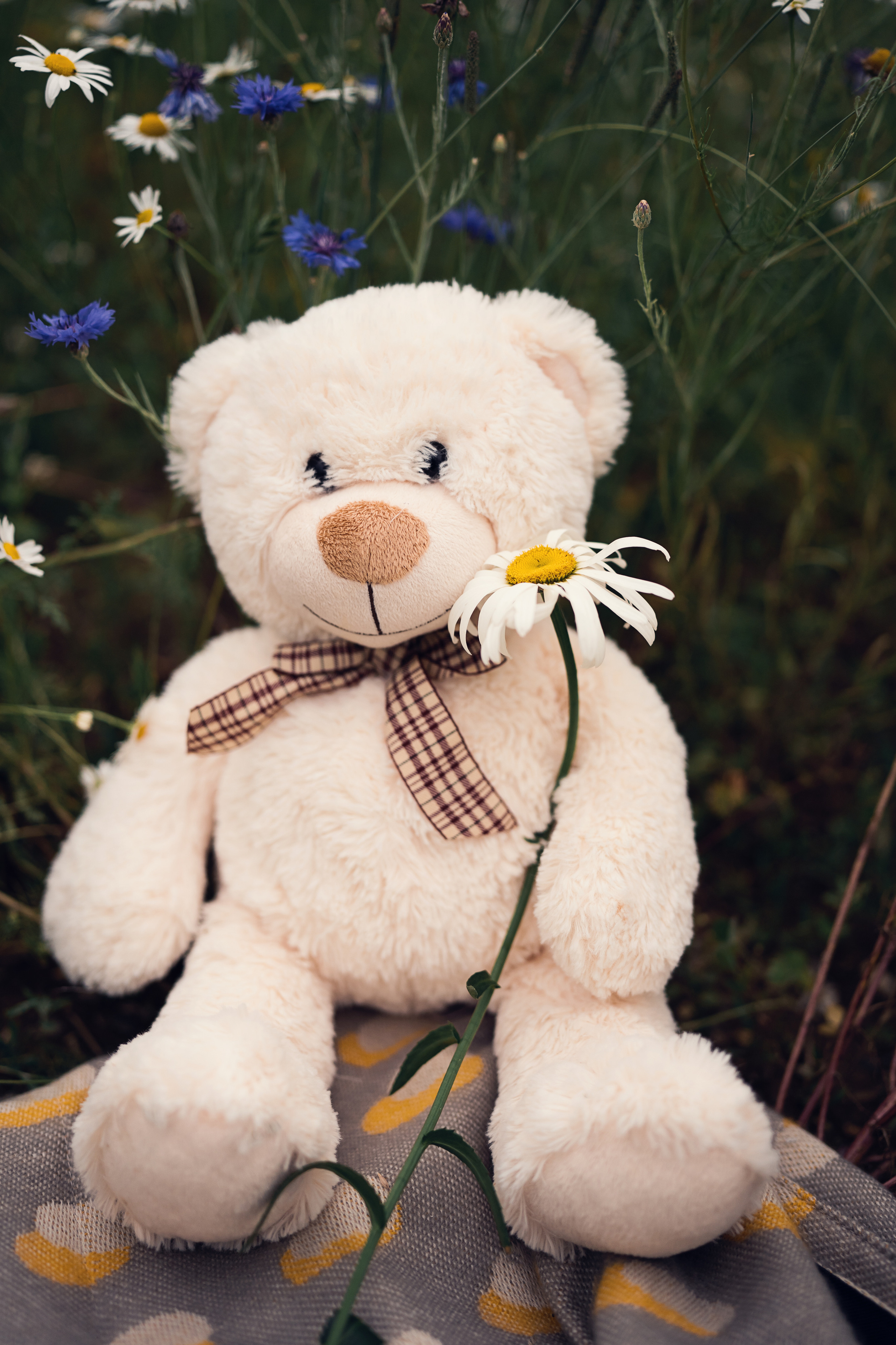 Childhood. Family, Lifestyle and Portrait photograher in Trier, Germany