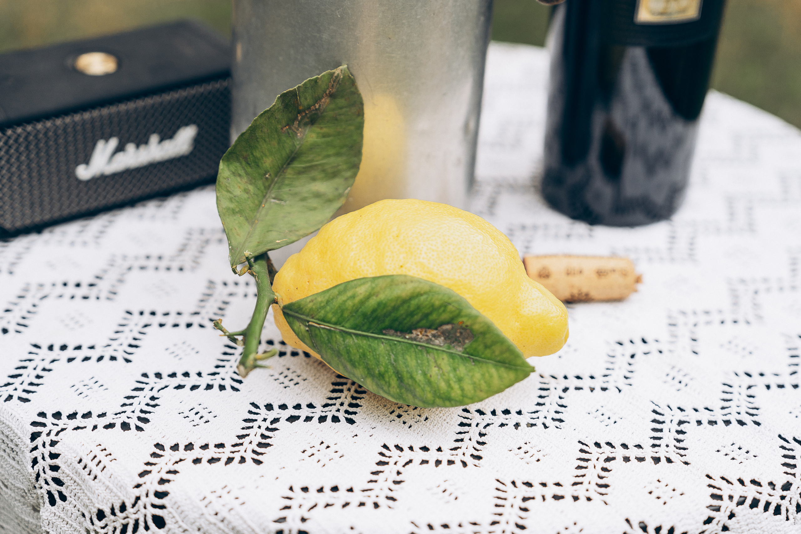 Dolce Limoni. Family, Lifestyle and Portrait photograher in Trier, Germany