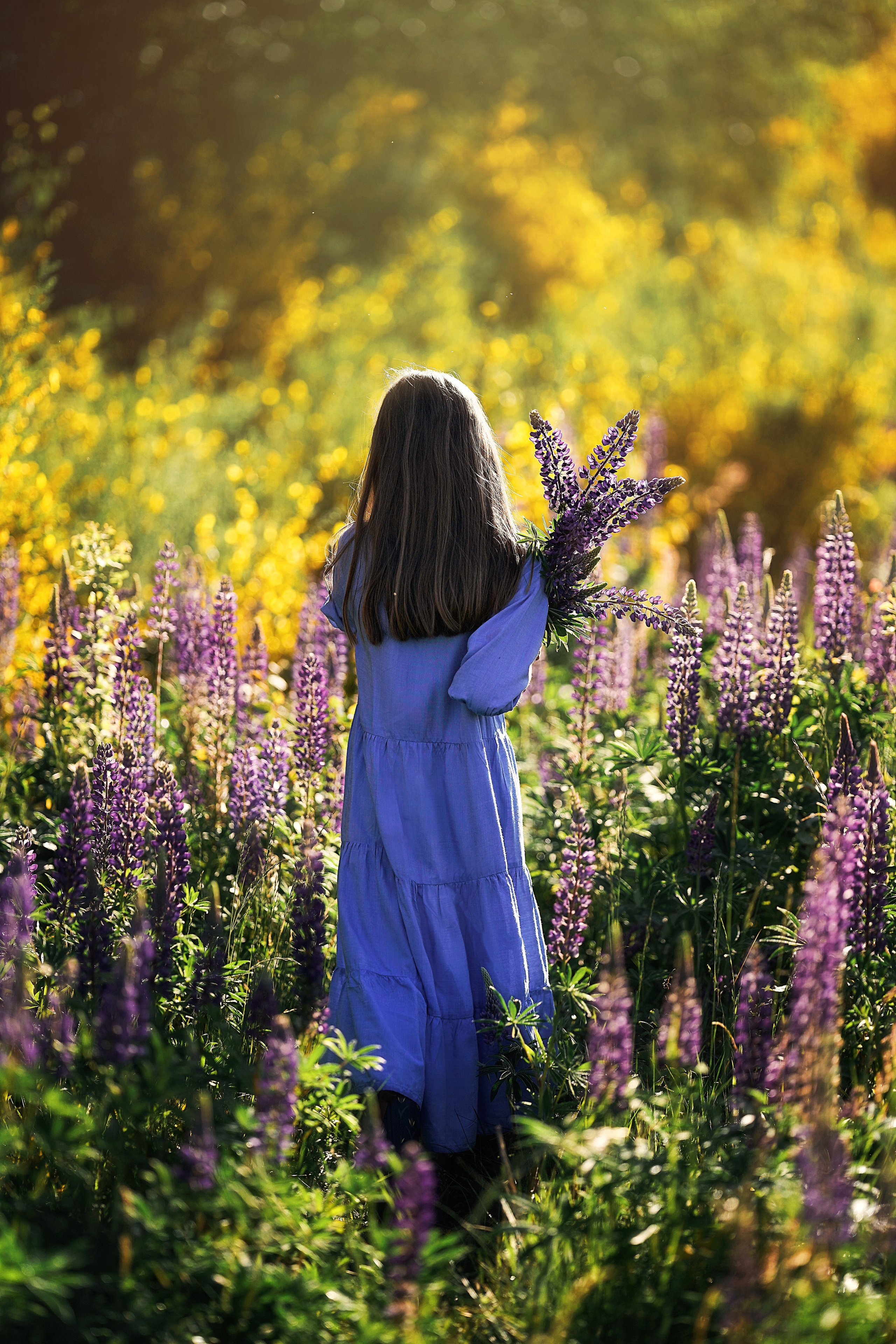Дикие люпины. Семейный, детский и женский фотограф в Германии, Трире