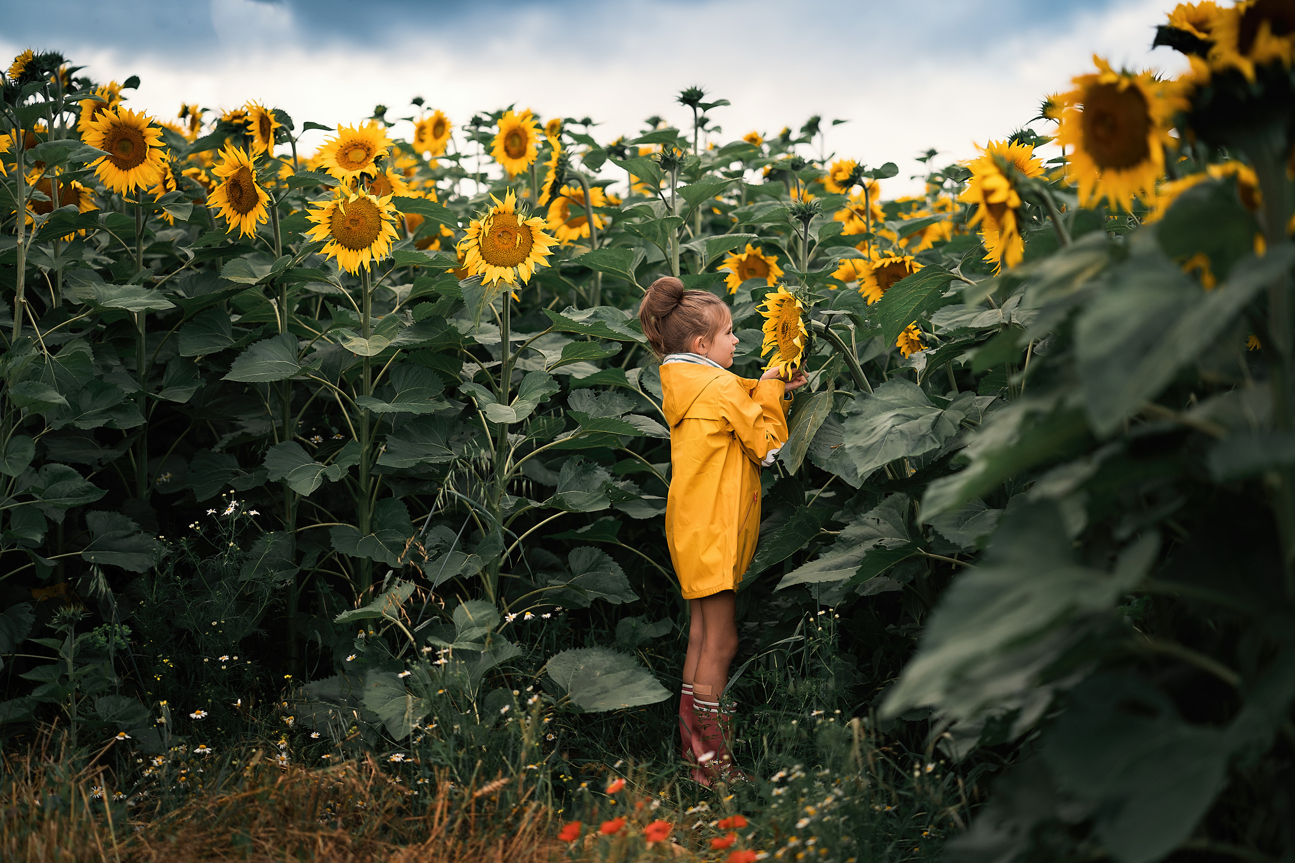 Childhood. Family, Lifestyle and Portrait photograher in Trier, Germany