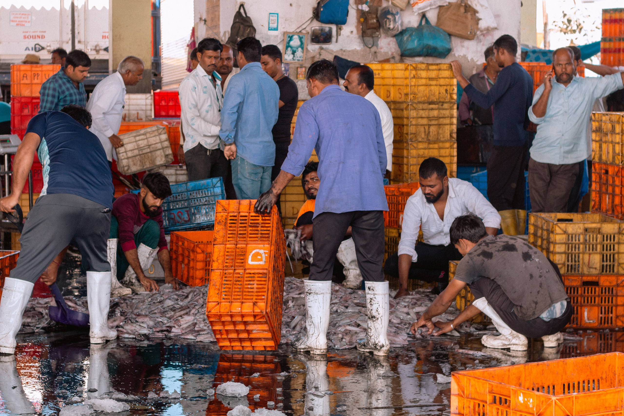 Story | Inside India | Part One. Look Around You