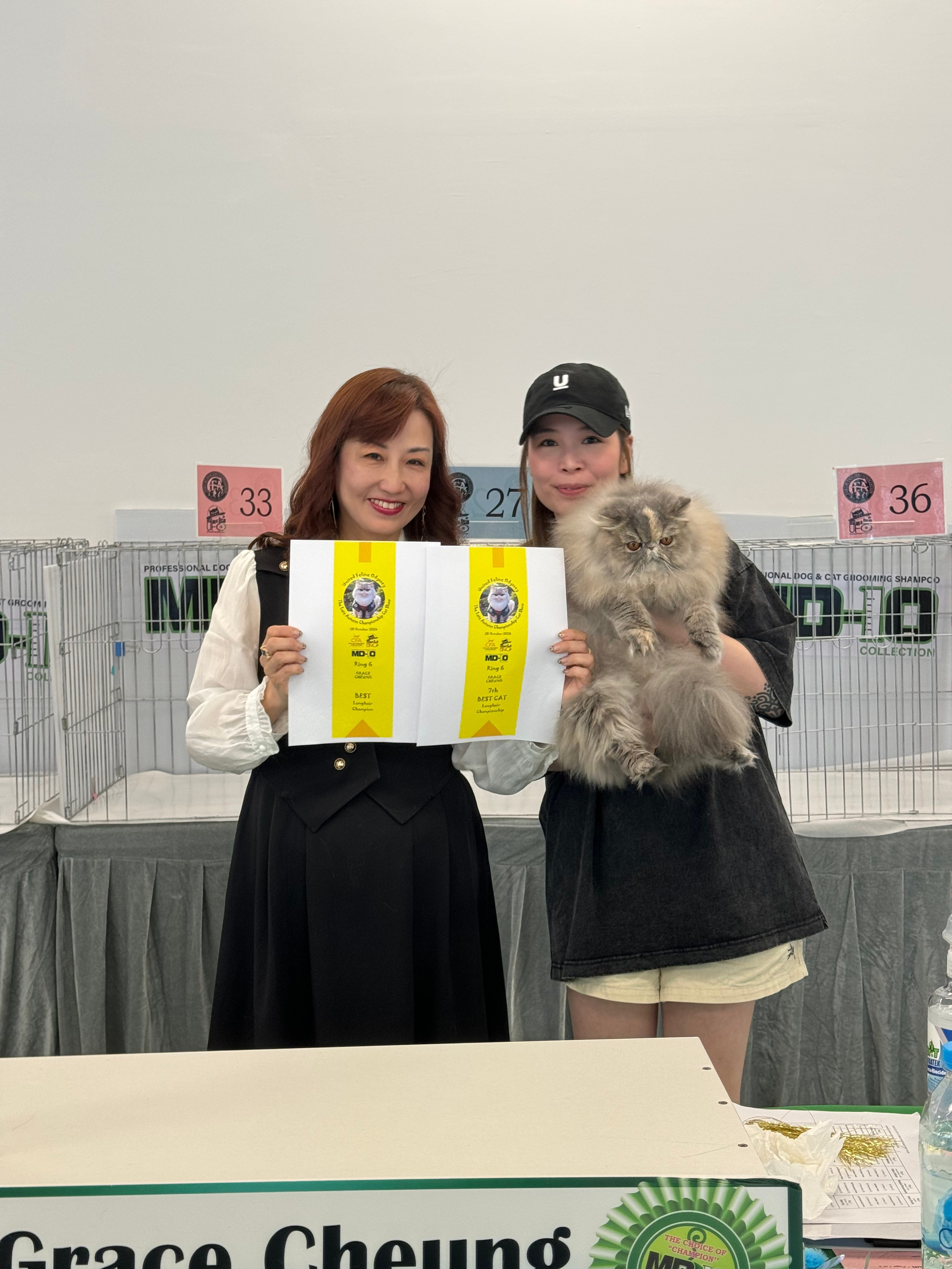 CFA The Late Autumn Championship Cat Show by UFO club 20 OCT 2024  Lemon Green Lila （1 show grand)  The Best Longhair Champion; 2nd Best Allbreed Champion by Chloe ChungThe Best Longhair Champion; 2nd Best Allbreed Champion by John Webster The Best Longhair Champion; The Best Allbreed Champion & 7th Best Longhair Championship by Kathy Calhoun The Best Longhair Champion & 7th Best Longhair Championship by Grace Cheung Thanks to the owner of Lila, who did a great job on grooming! And thanks to all judges for loving our cats ❤️ and thanks to the club for hosting this great show! It was a lovely day to see some cool people there too!