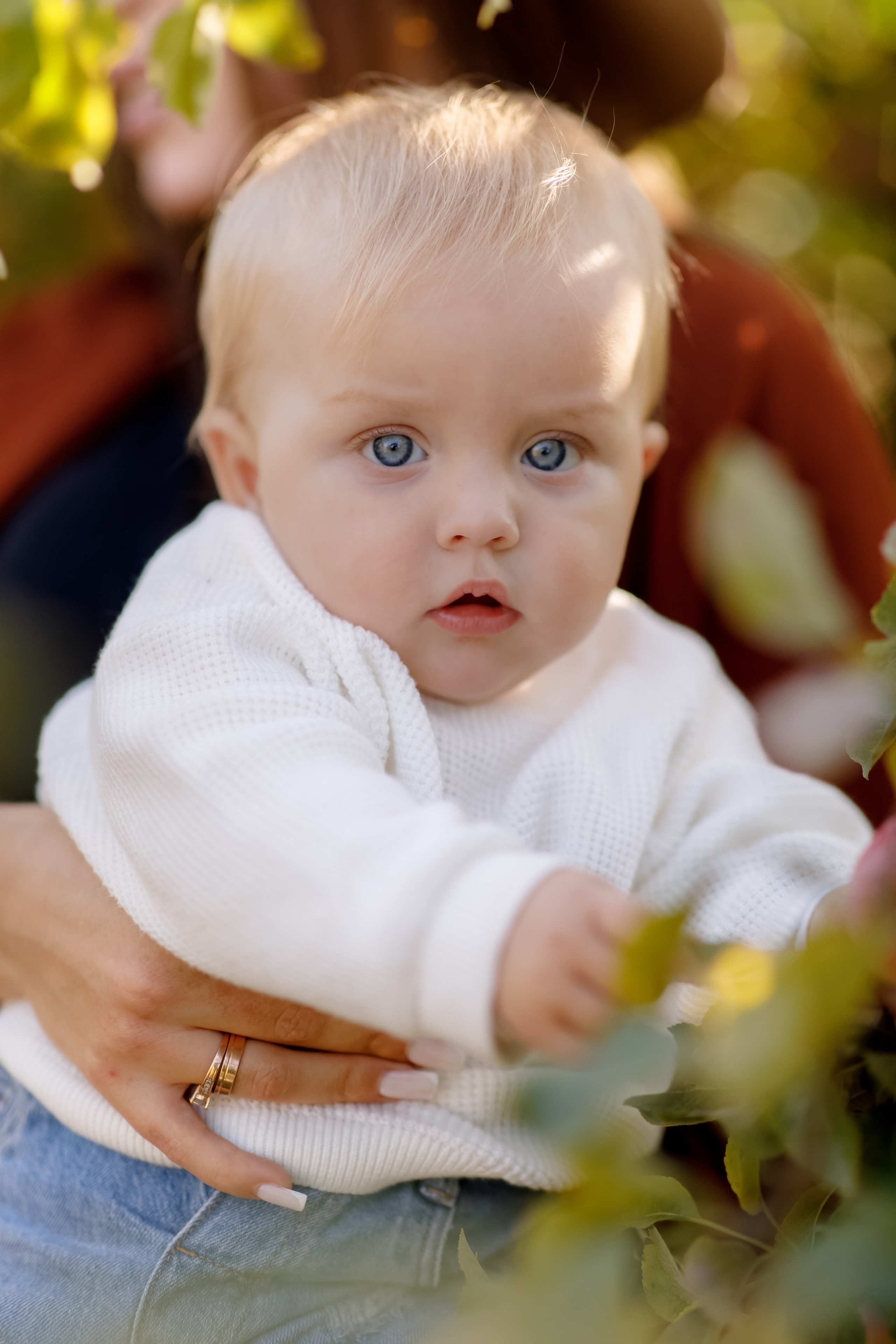 Family photo Mihaela Ungureanu. N.D.photograph - fotograf de familie și portrete în Republica Moldova