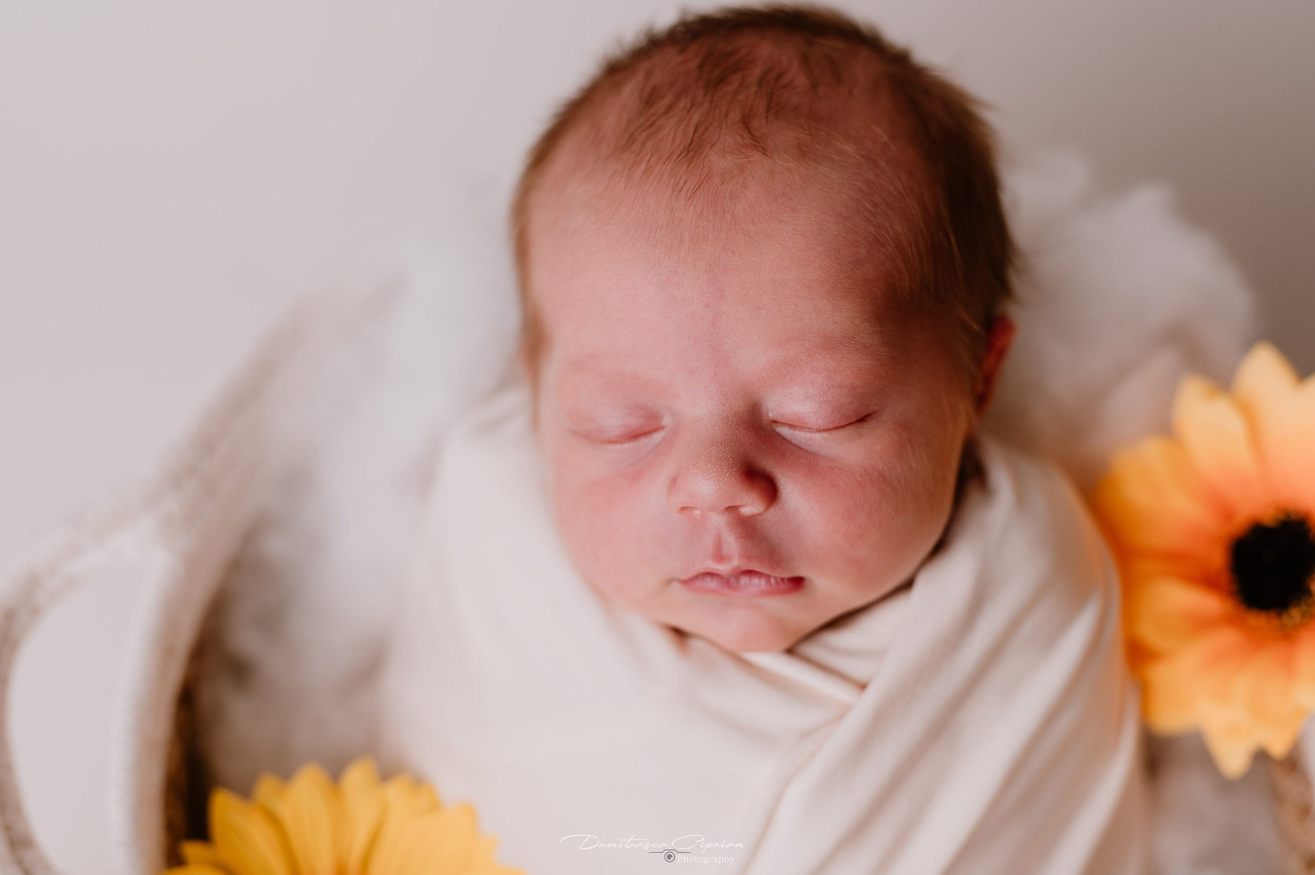 A sweet little angel. Dumitrasca Ciprian Photography