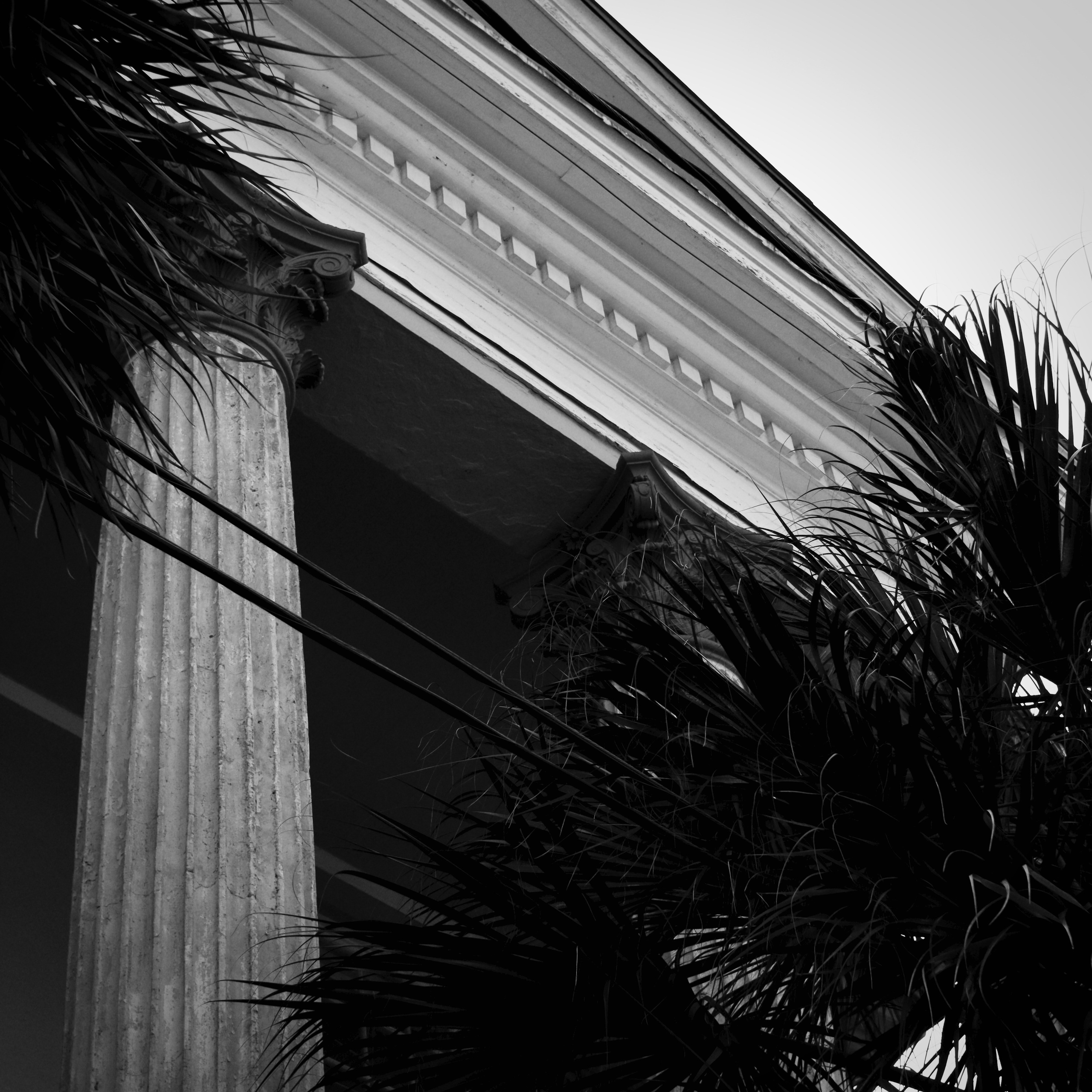 Monochrome. Sonny Photos