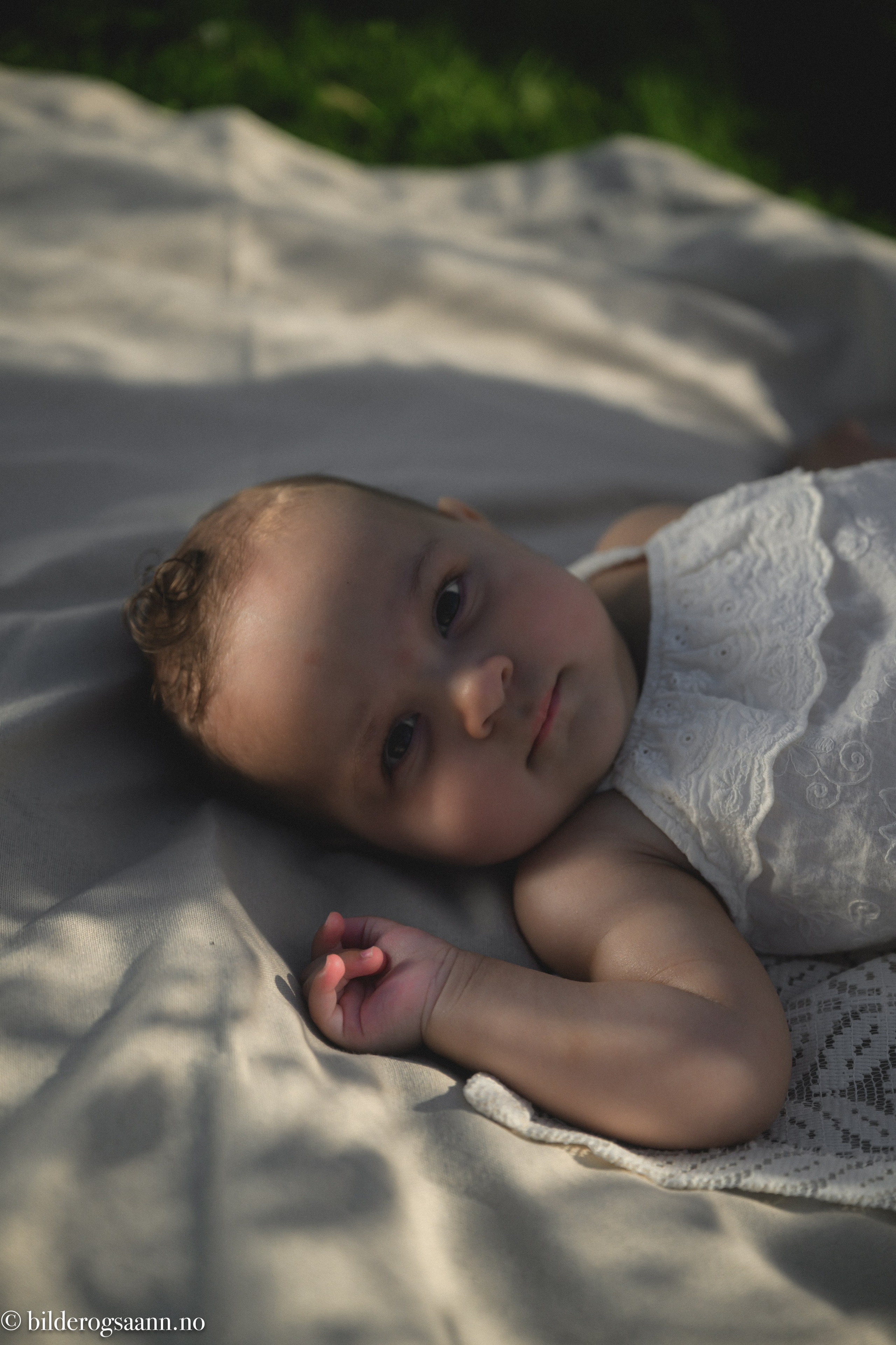 Barn- og familiefotografering. Familiefotograf i Narvik kommune