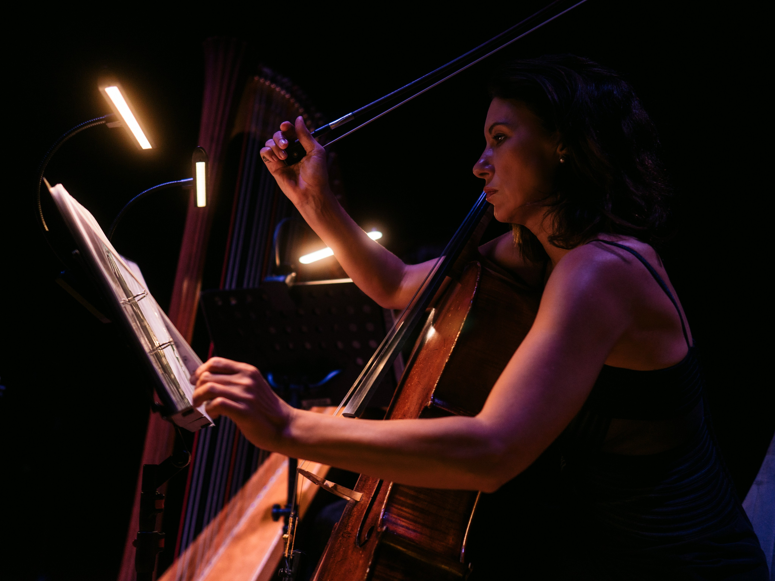 AdLibitum. Главное меню