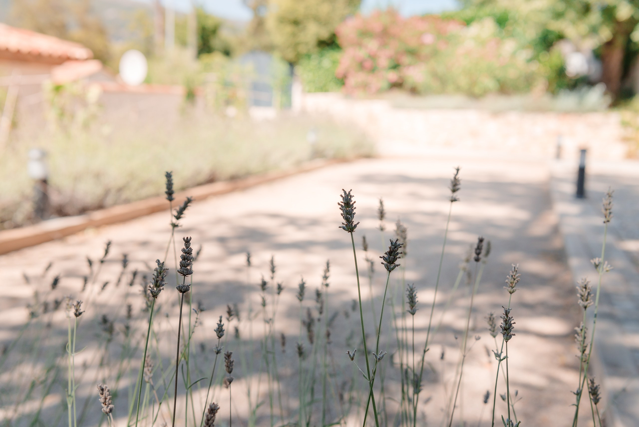 Summer vacations. Family B. MARIA VALUEVA Photographer in Nice, Cannes, Monaco, France, Europe, Istanbul, Turkey