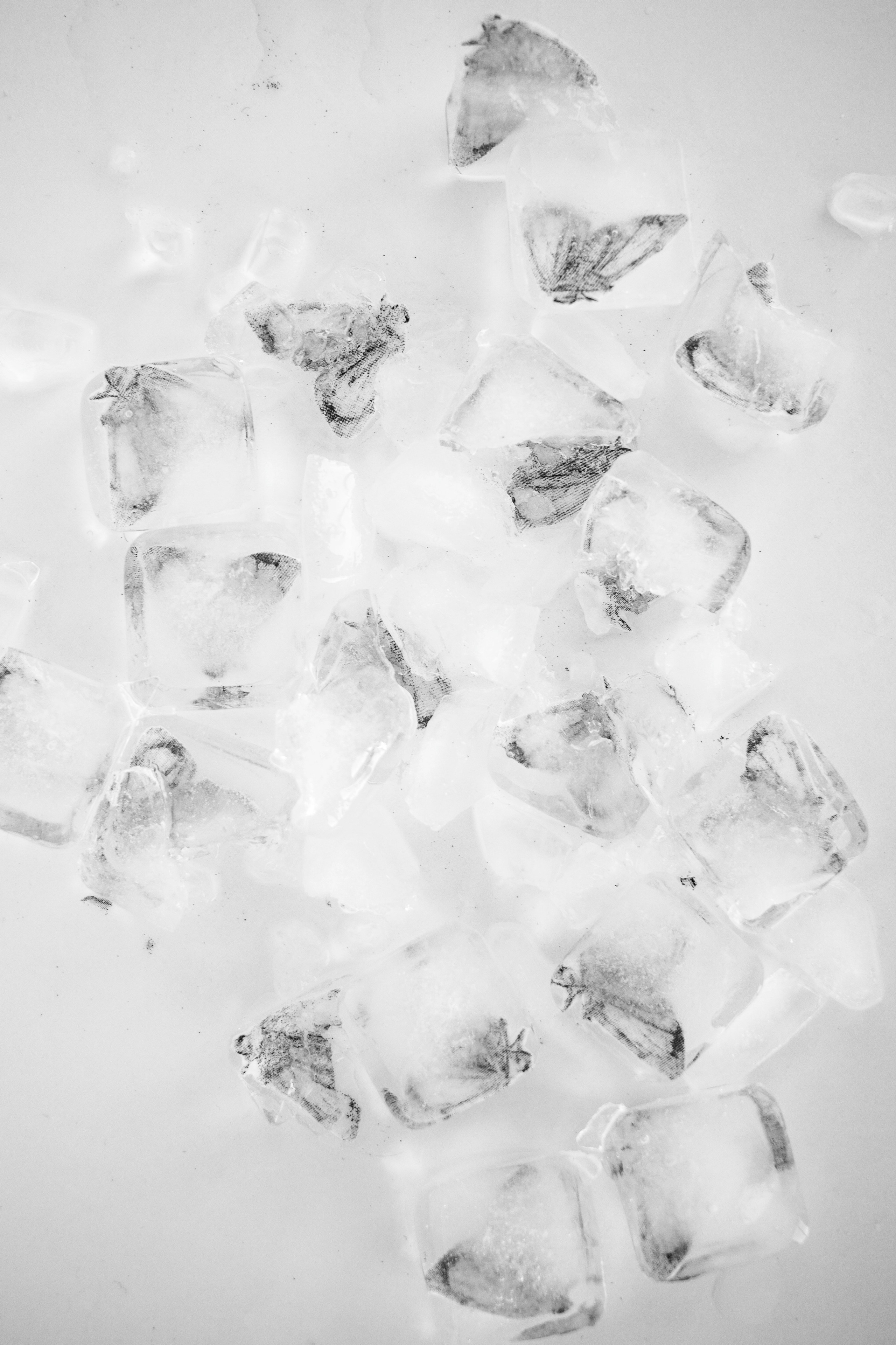 Кто сказал, что будет легко (в процессе). Екатерина Федорова