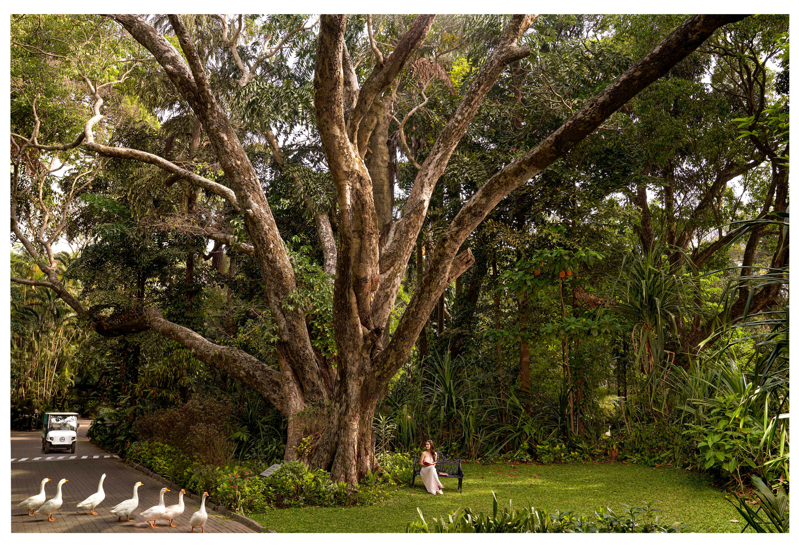 Hotels and resorts. Mohit Holani | Director