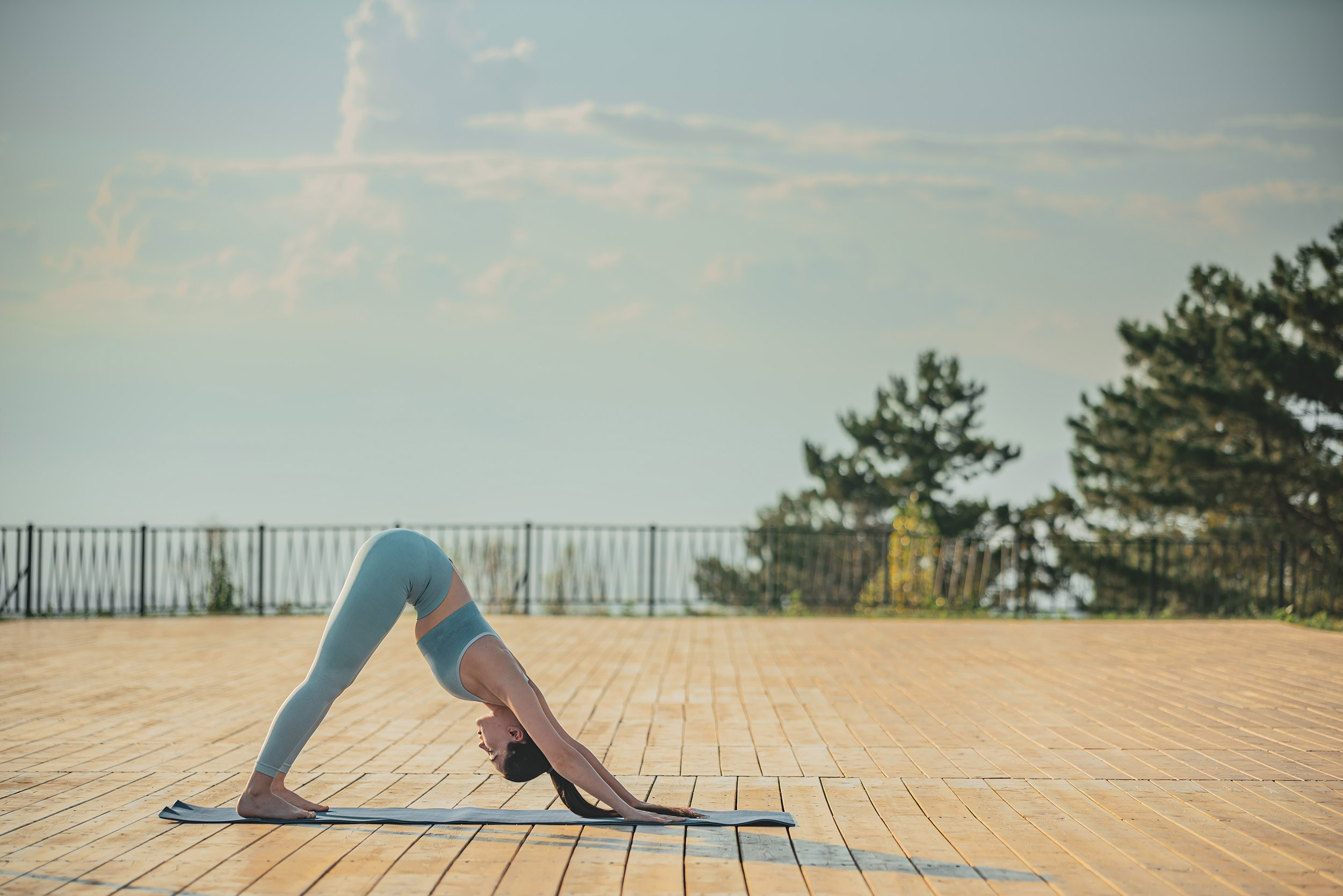 Shene inforest. Фотограф в Ереване