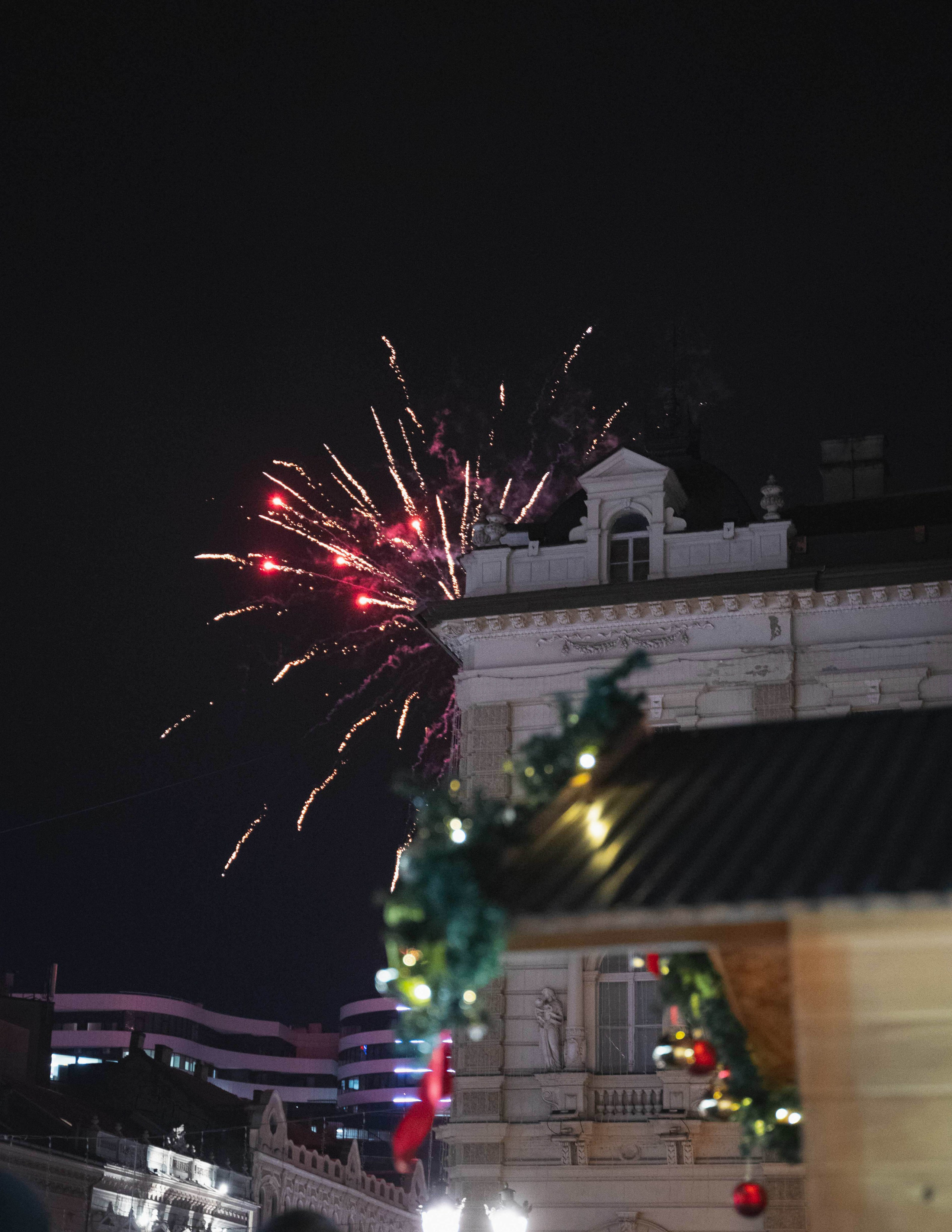 Novosadski Zimzolend. Жуков Студио