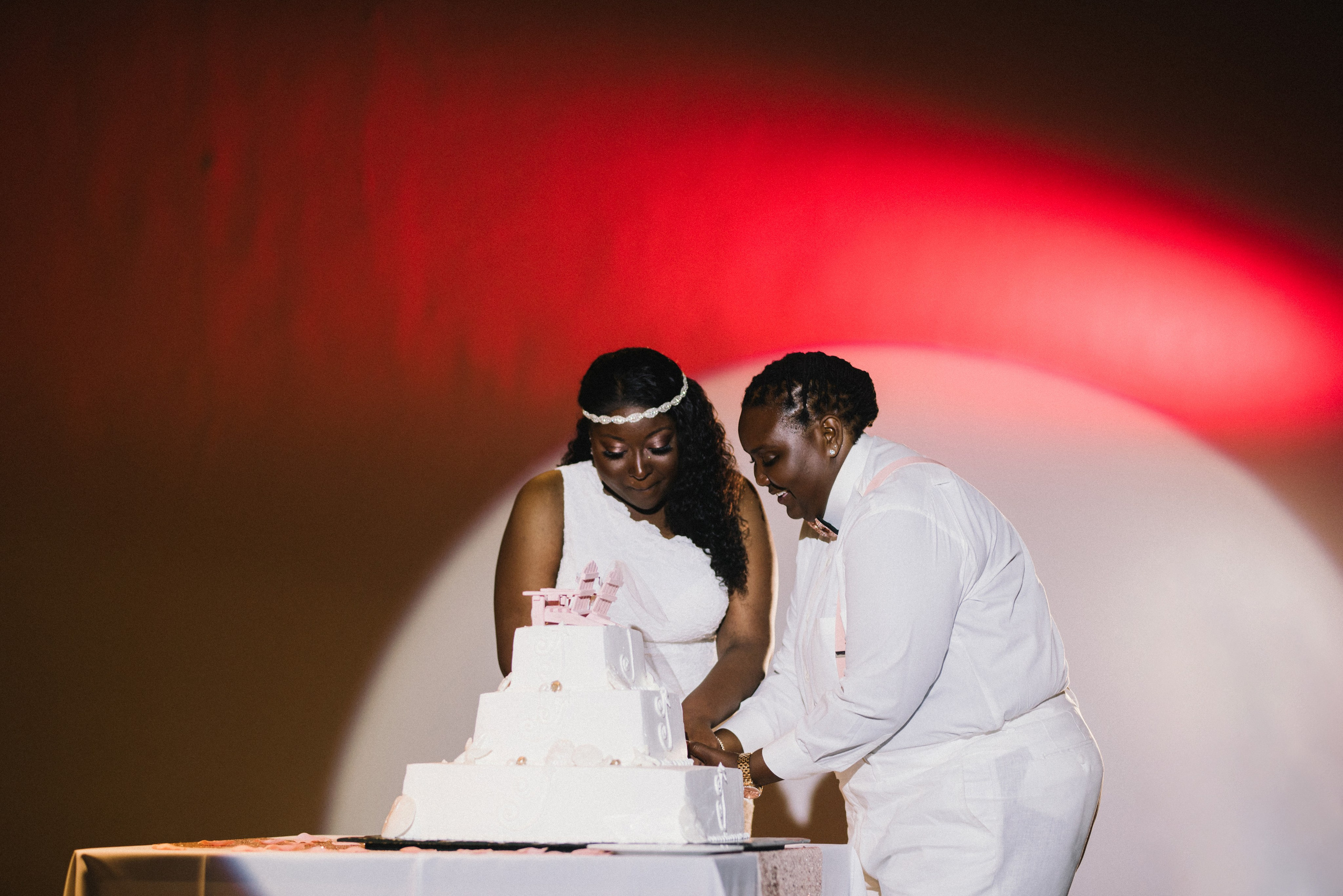 LGBT wedding punta cana. Punta cana wedding family fashion photographer dominican republic, destination wedding photographer, elopement photography Punta Cana