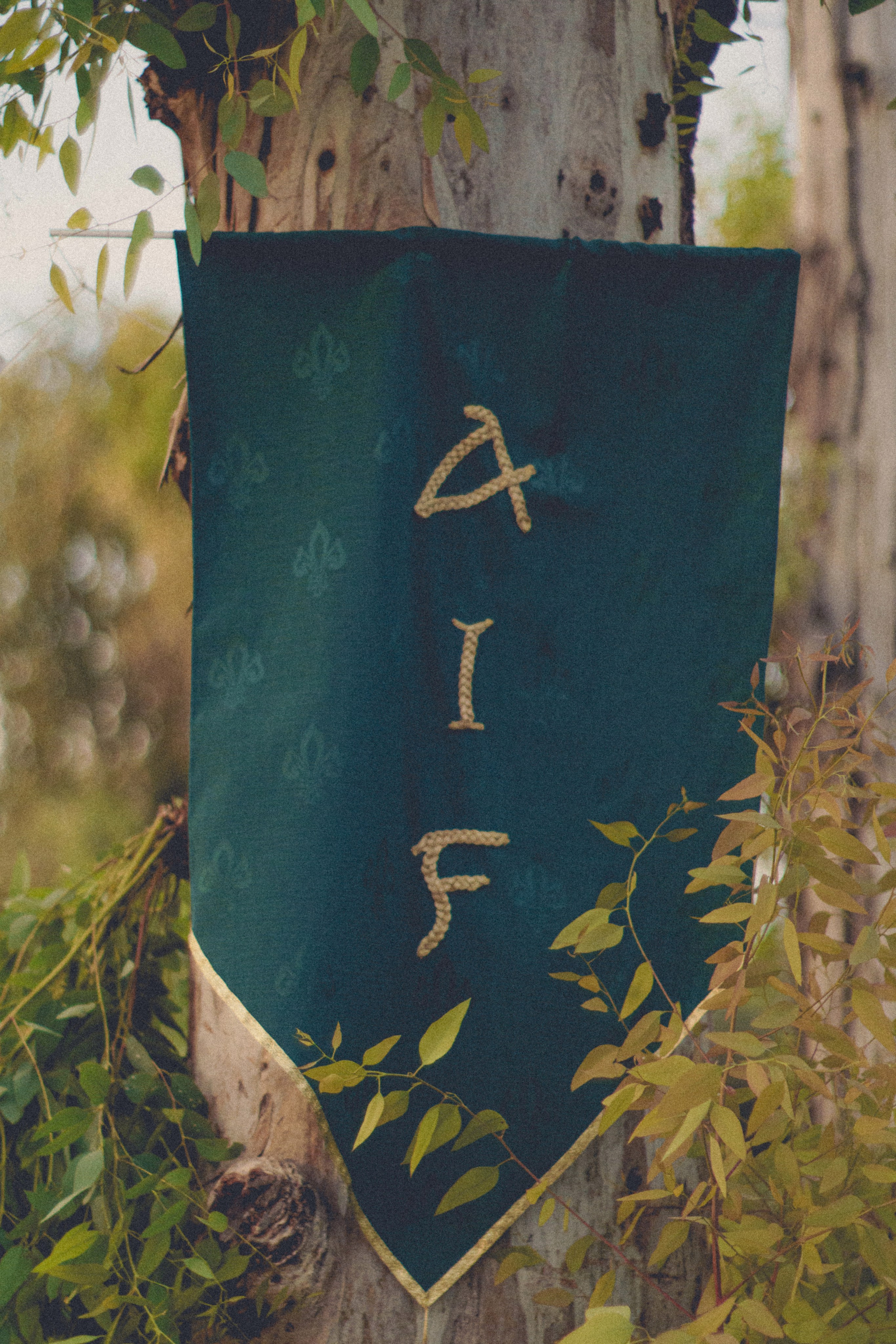 Irish Festival '24. Photographer in Greece Kristina