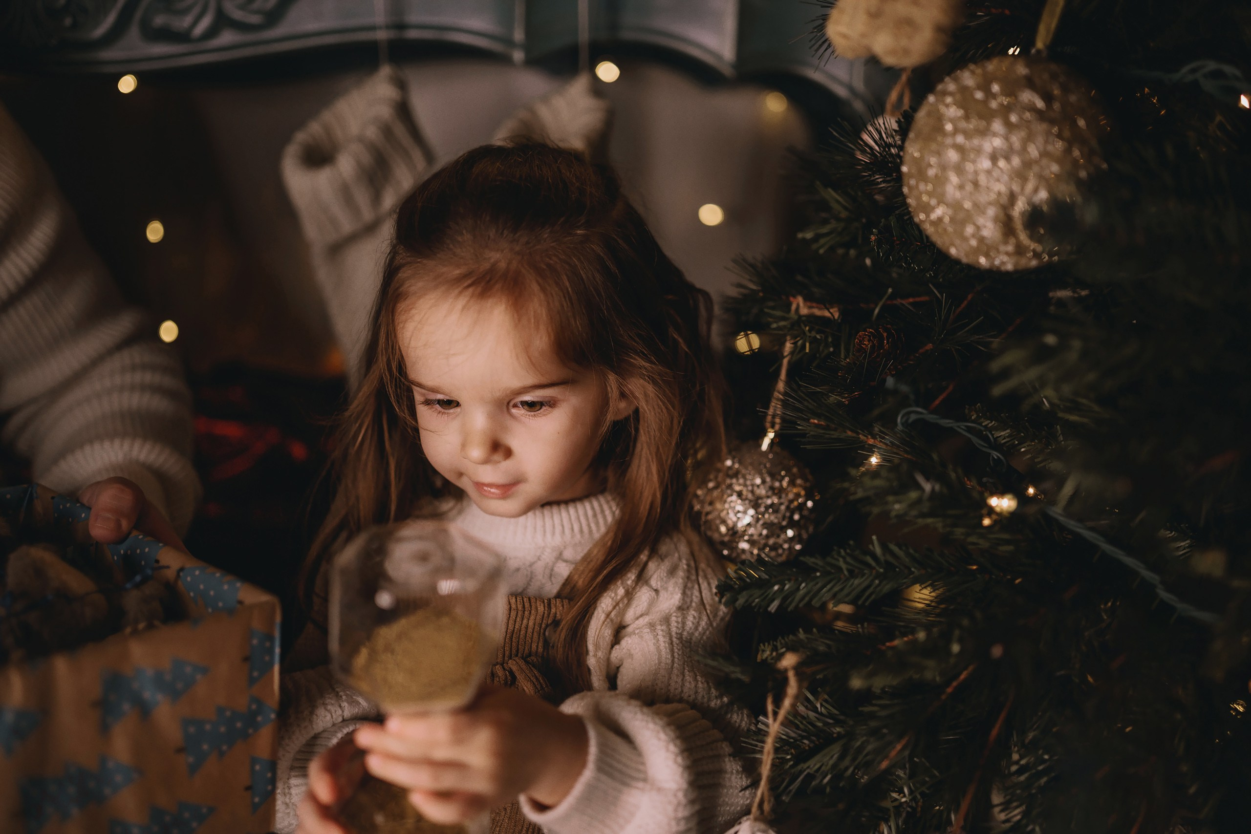 11.26.2025 Christmas Photoshoot. Wedding family event photographer in Chicago Nick Yushevich