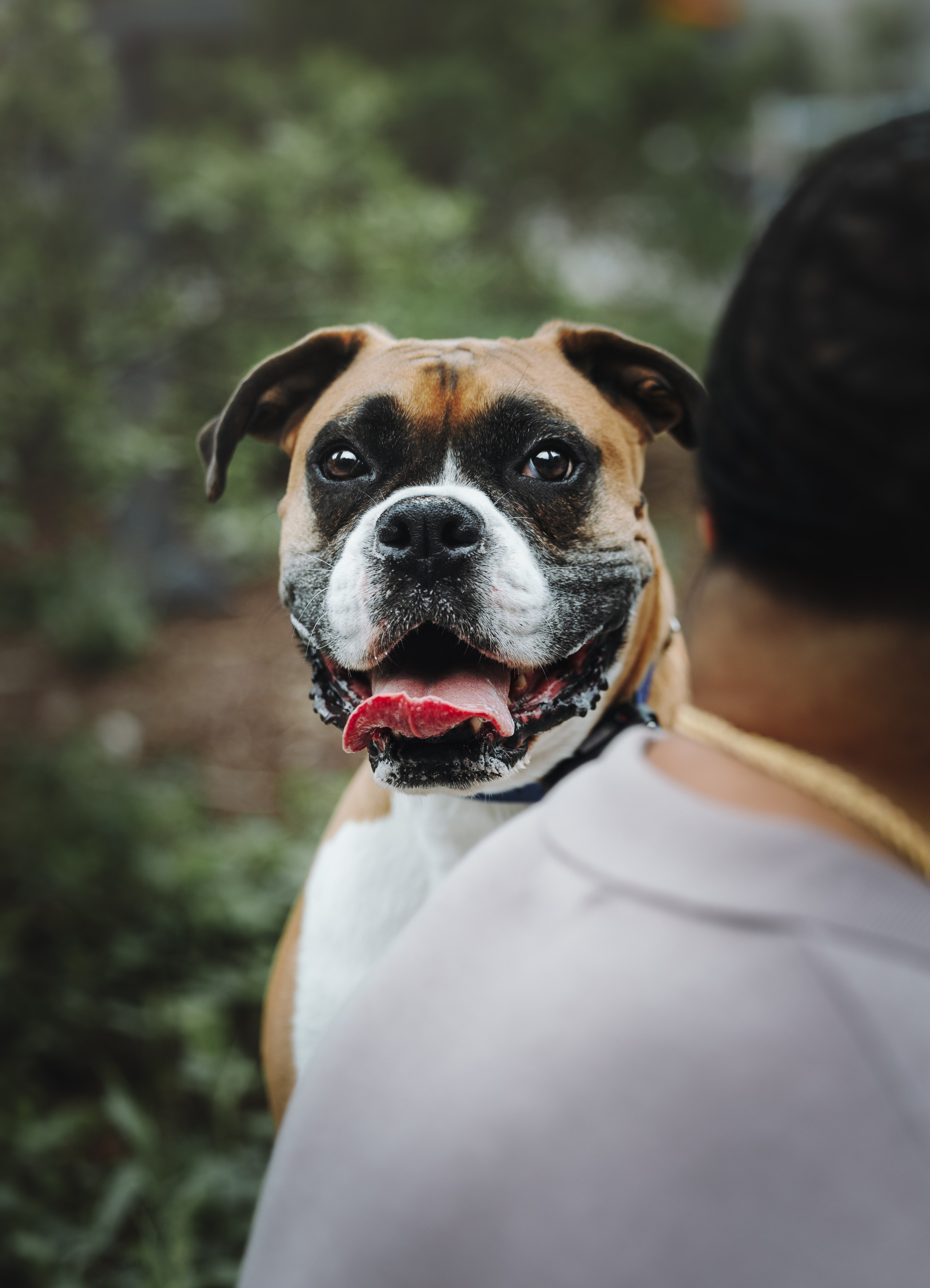 Oliver & Darin. Pet Photographer Viktoriya Aleshenko