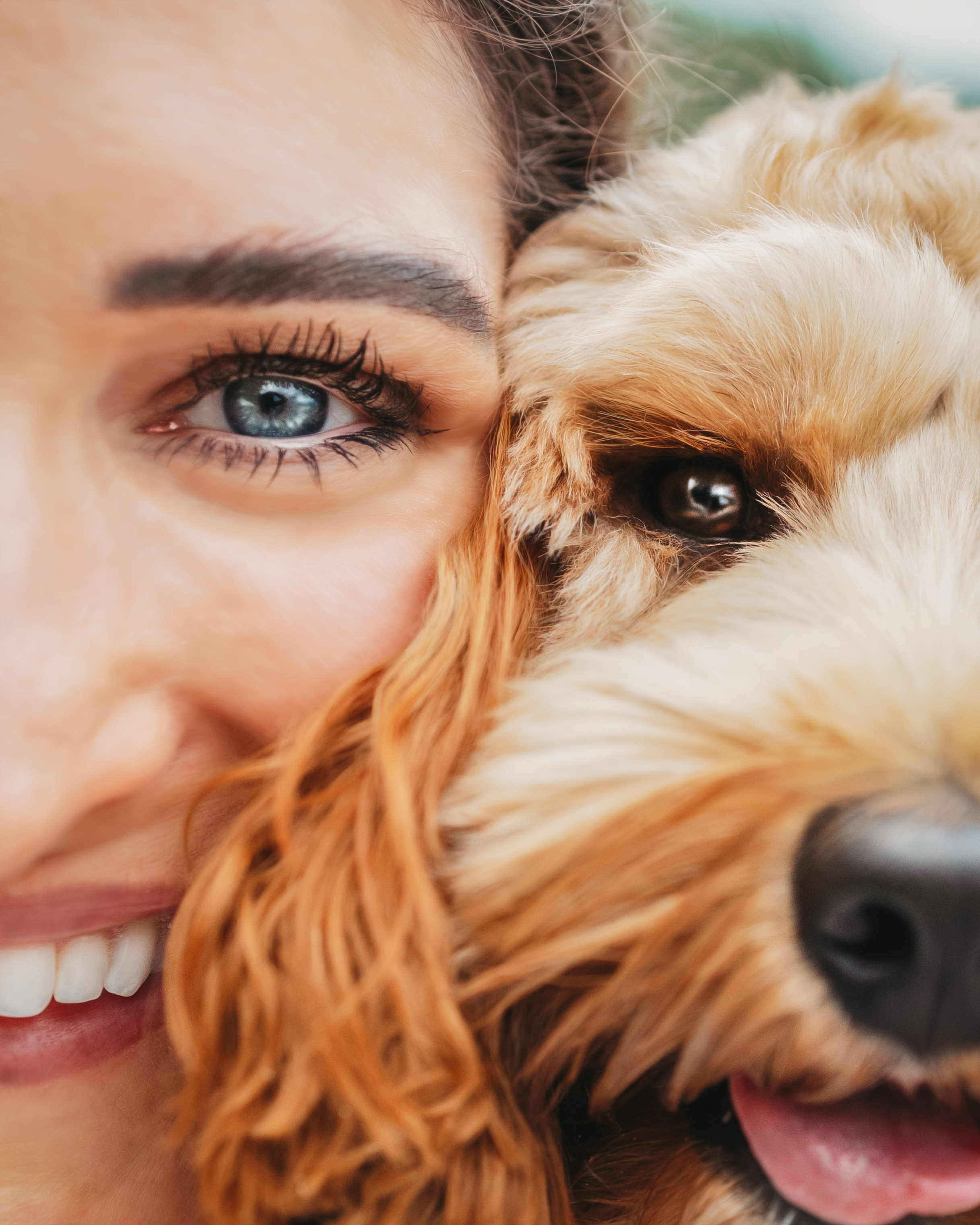 Howie & Callie. Pet Photographer Viktoriya Aleshenko