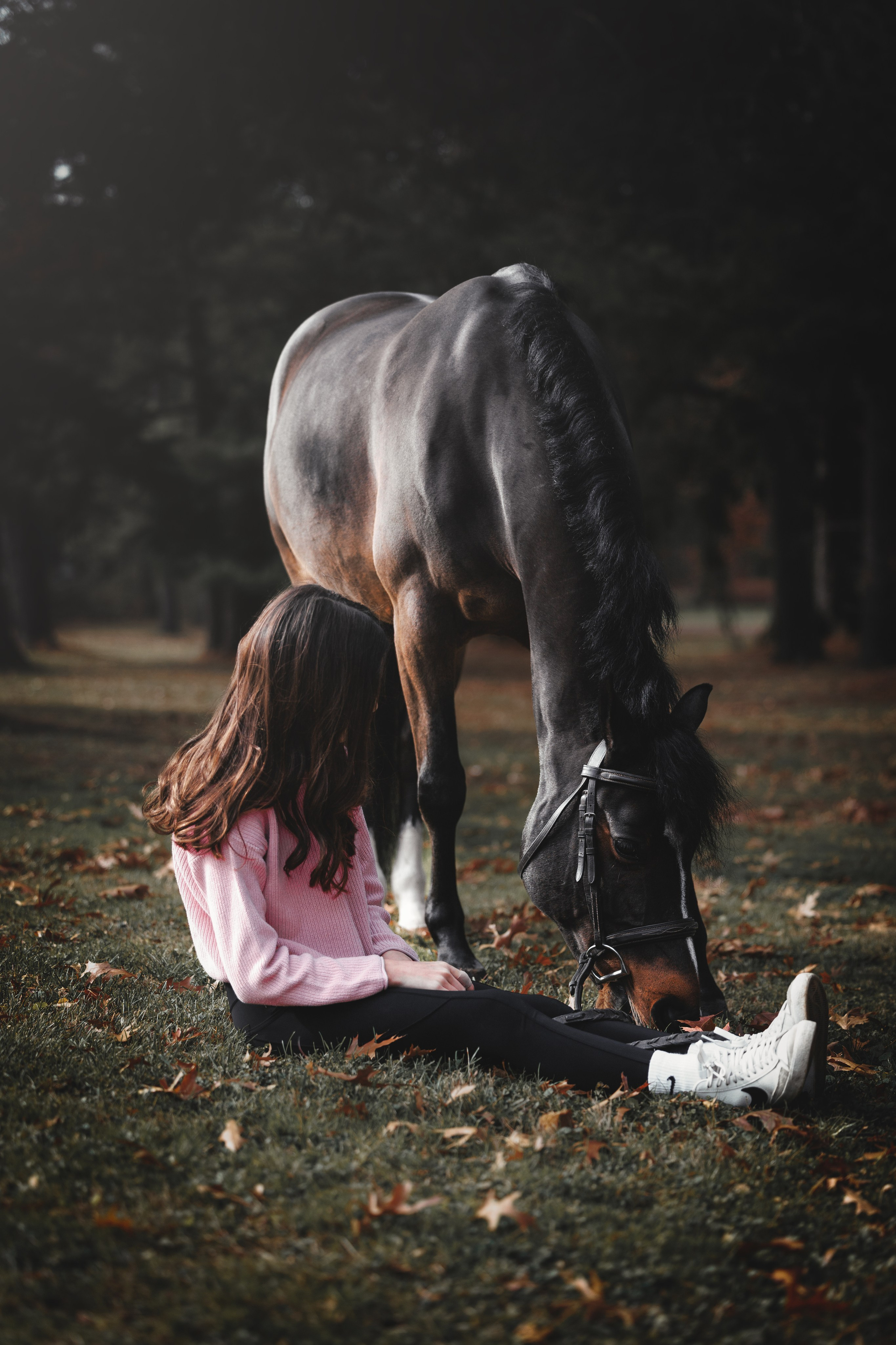 Whiskey & Ava. Pet Photographer Viktoriya Aleshenko
