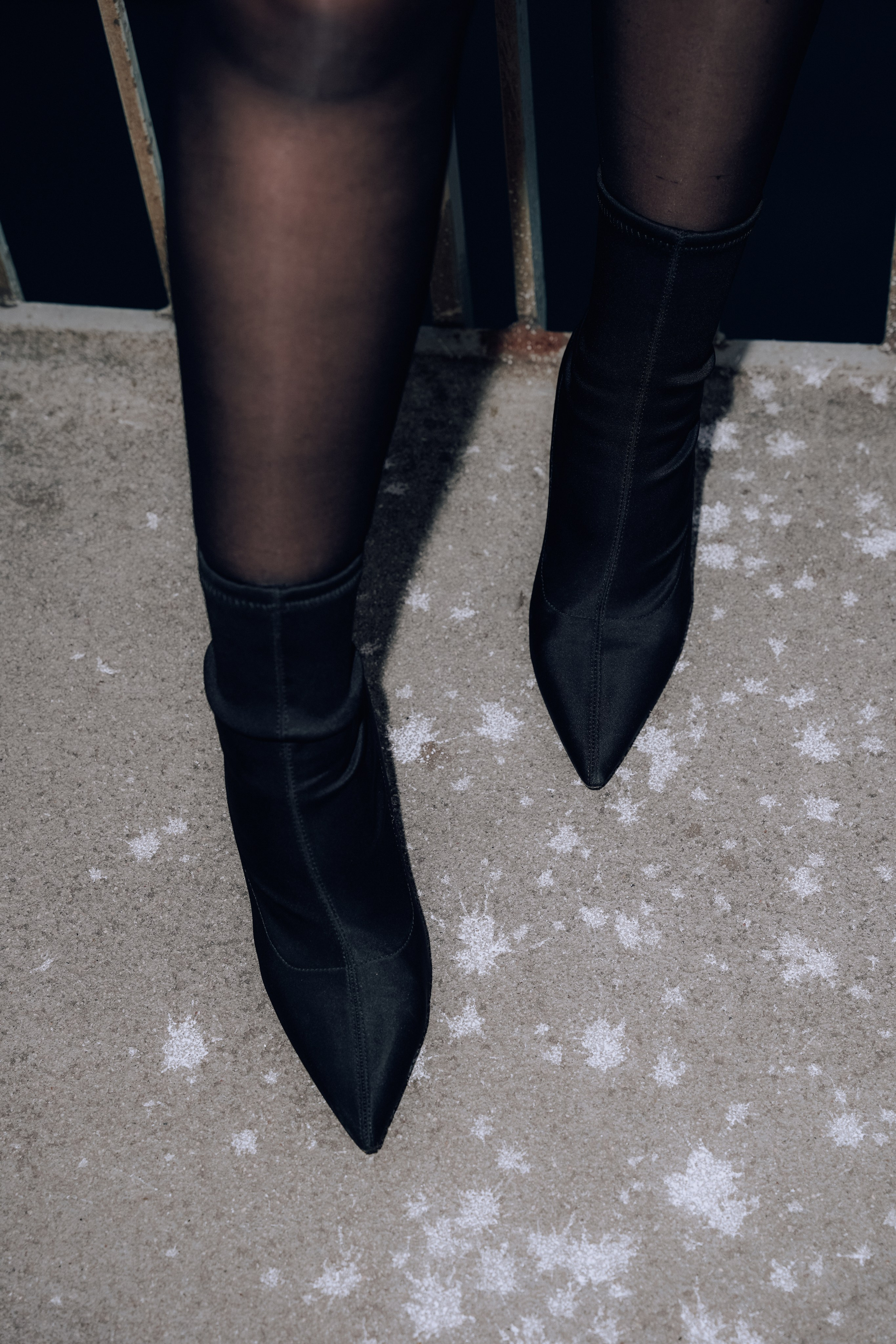 Duisburg schwarzer Schwan. Photograf NRW