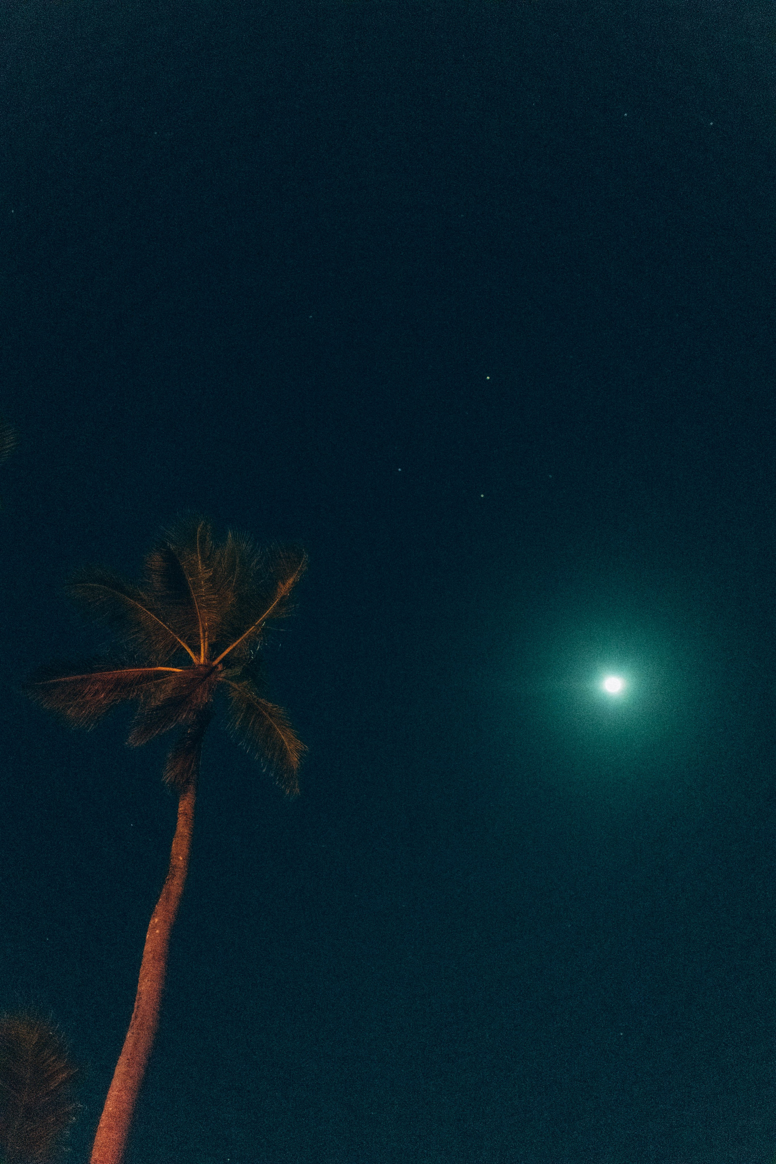 STREET. TETIANA UDOVYCHENKO PORTRAIT PHOTOGRAPHER