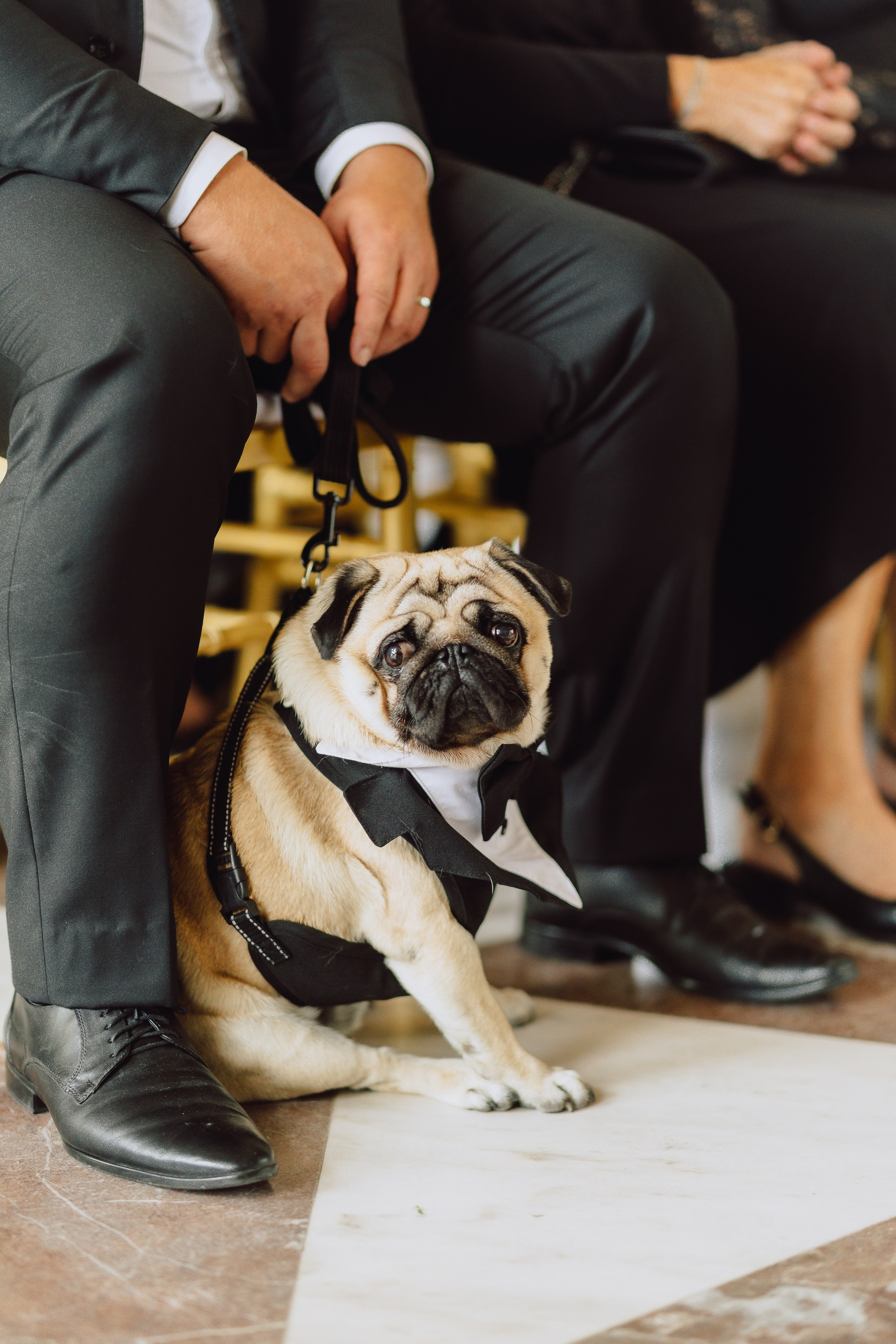 Wedding at Chateau Karlova Koruna