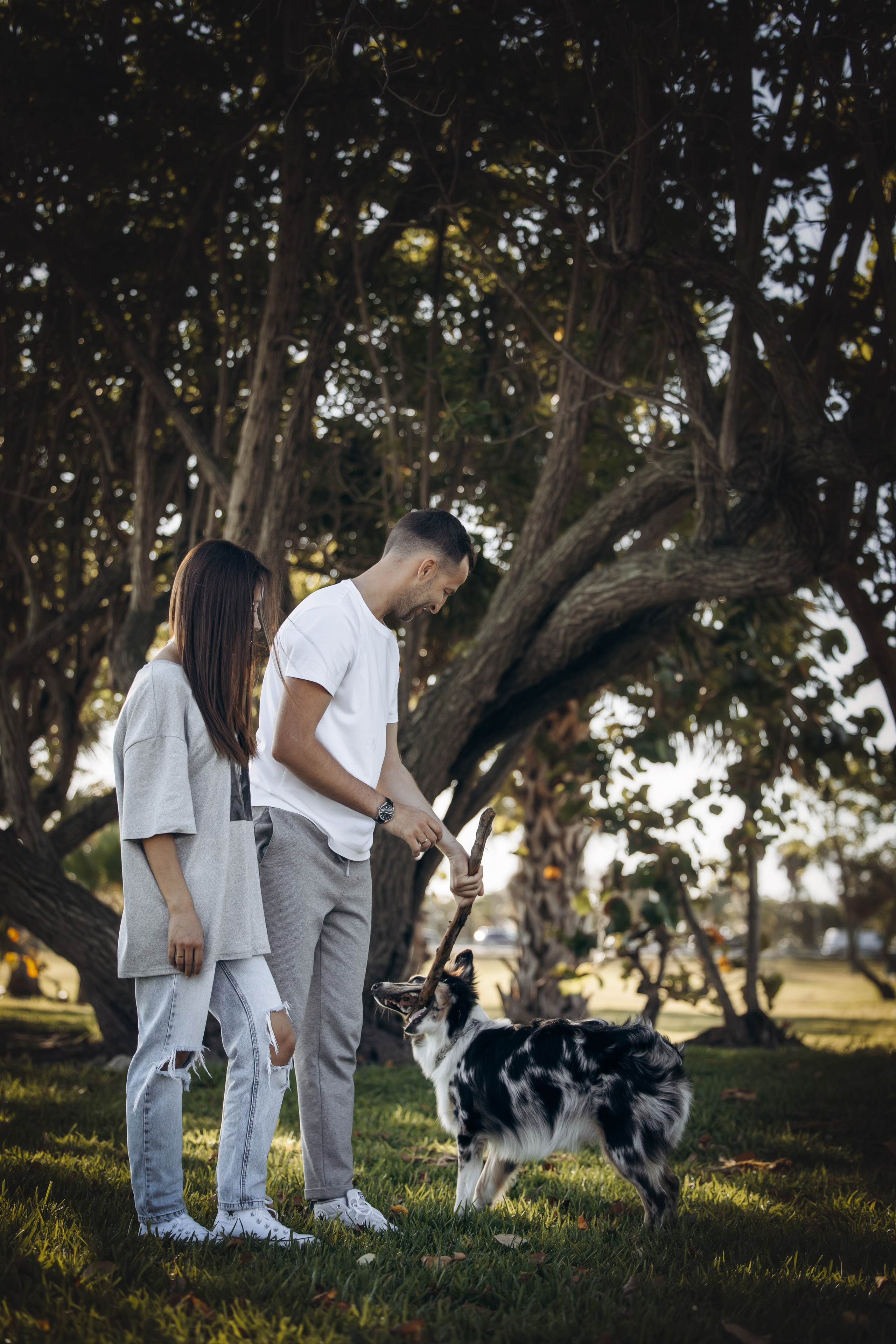 Gru, Marta & Vladimir. Pet Photographer Viktoriya Aleshenko