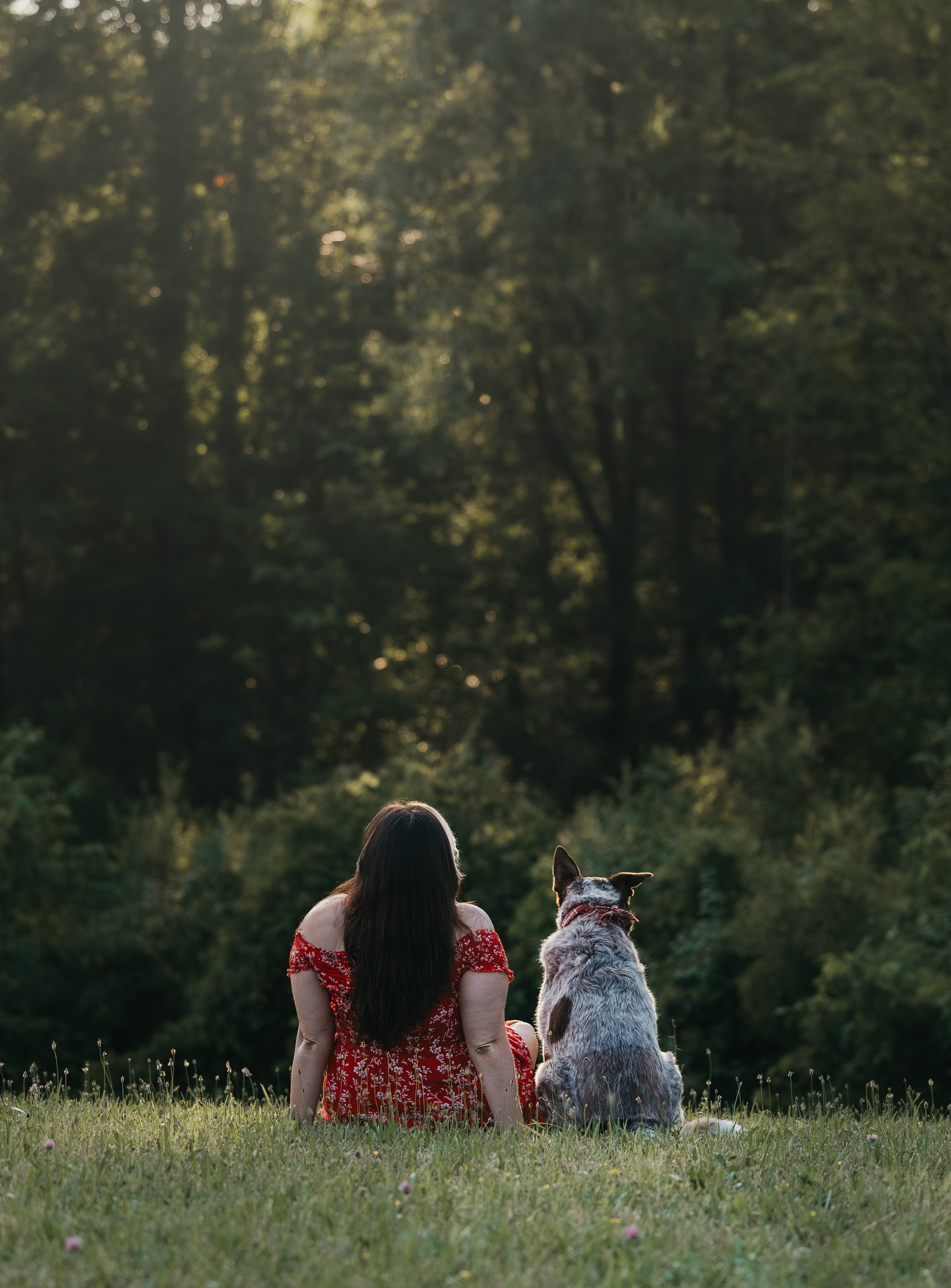 Rubee & Luisa. Pet Photographer Viktoriya Aleshenko