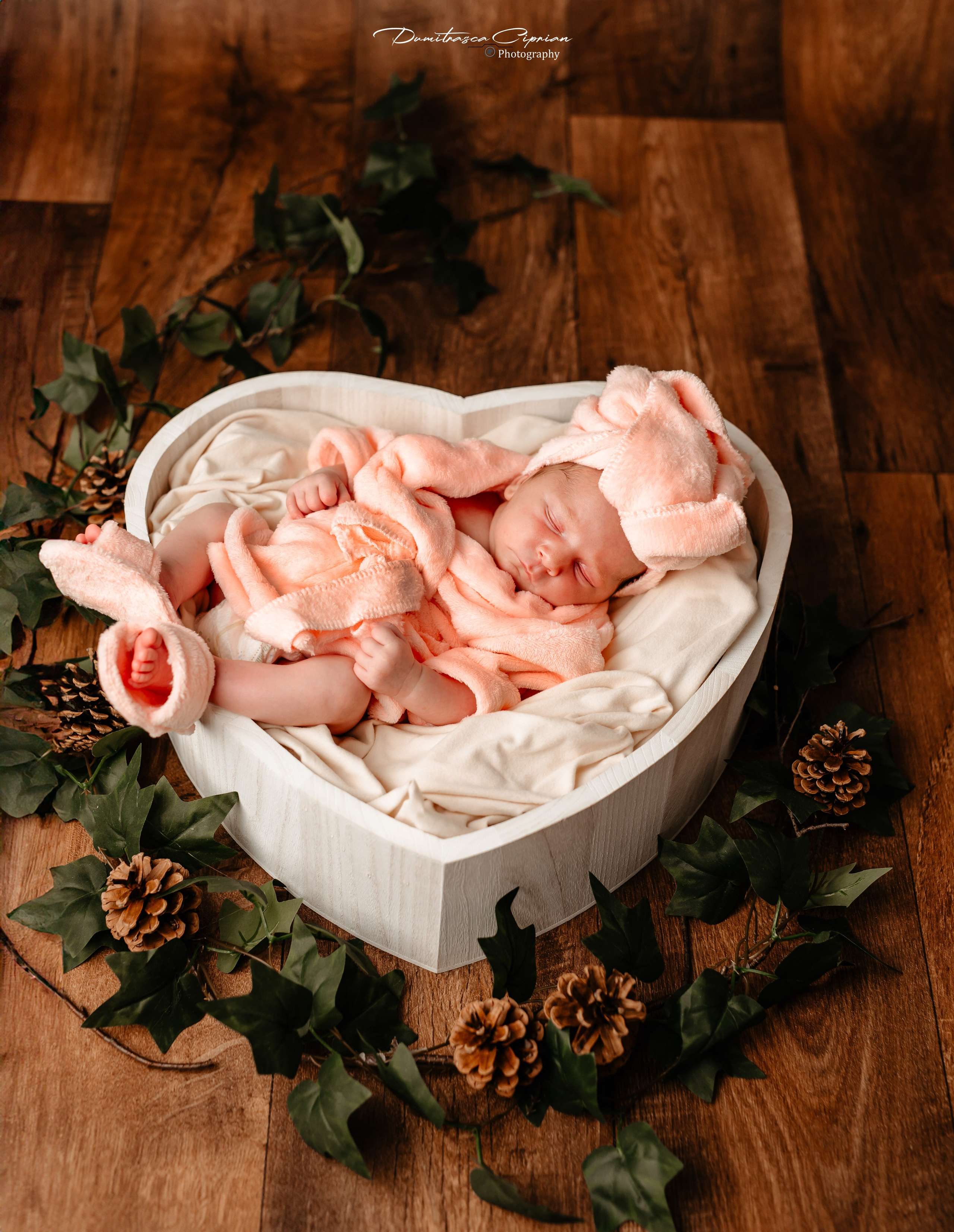 Little Sofia. Dumitrasca Ciprian Photography