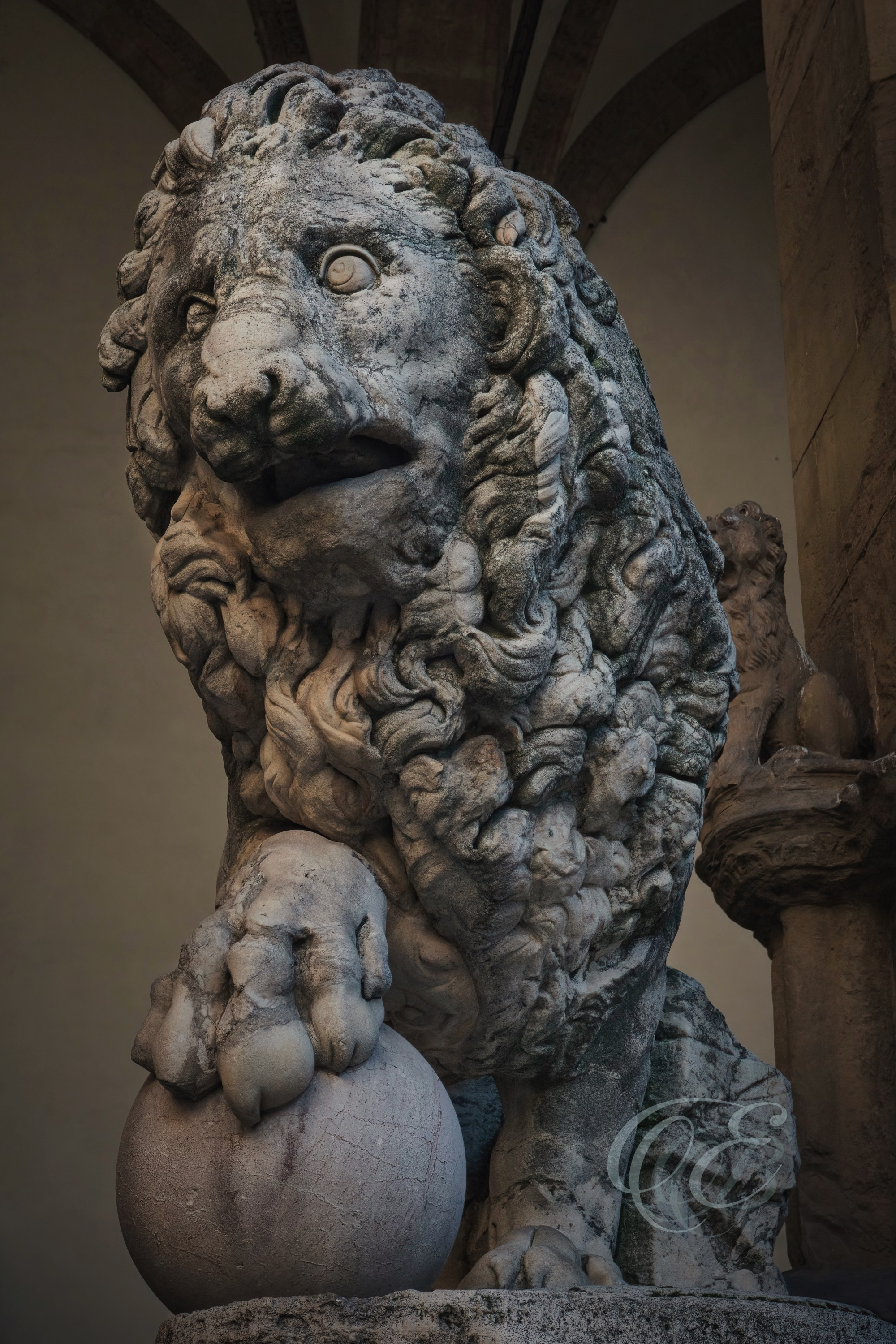 Florence Italy - The Medici lions - Eduardo Bartoli Fine Art Photography - The Medici lions in Florence, Italy – fine art photography by Eduardo Bartoli.