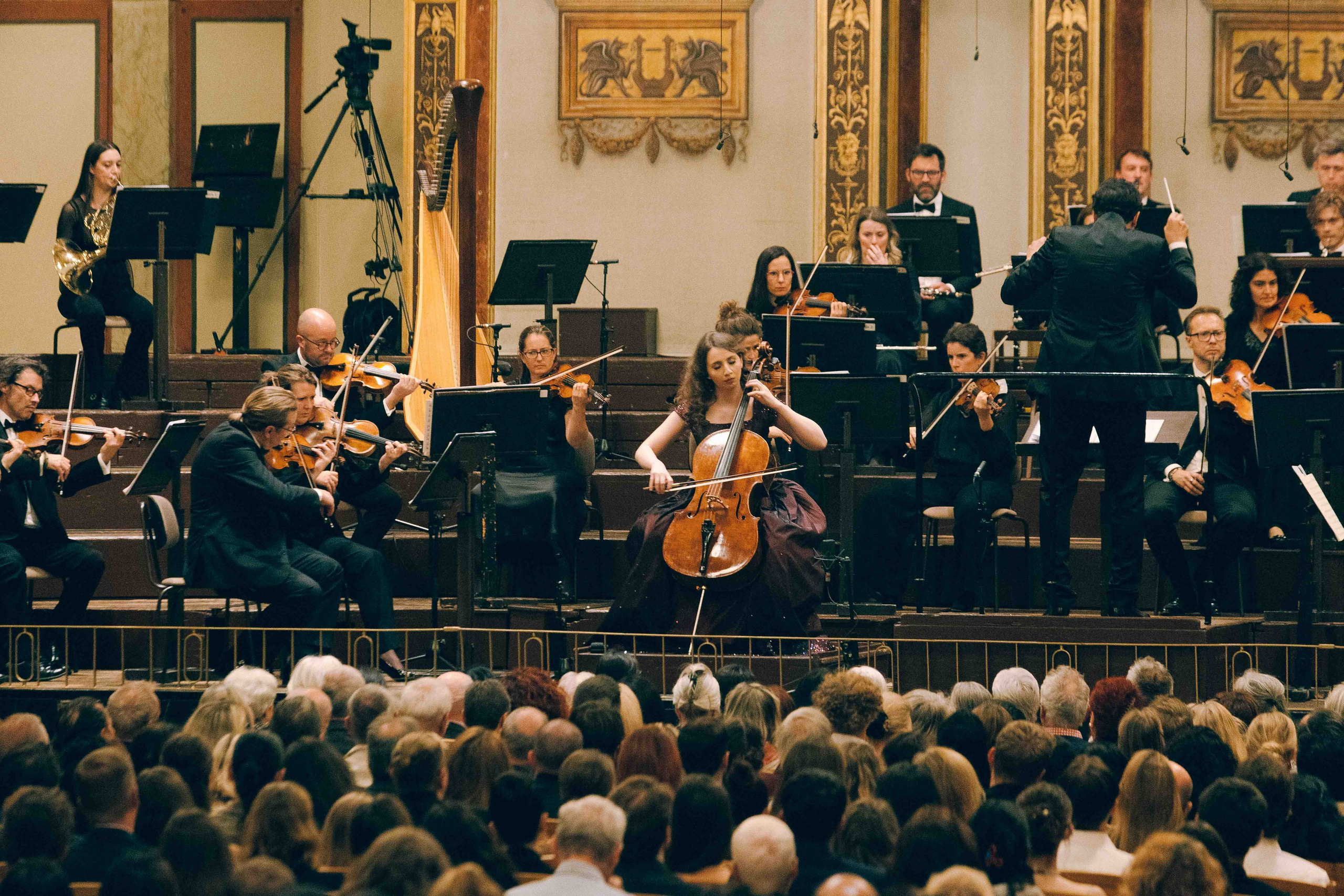 MUSIKVEREIN (VIENNA). Wedding&Event photographer Ismail Rzayev in Baku