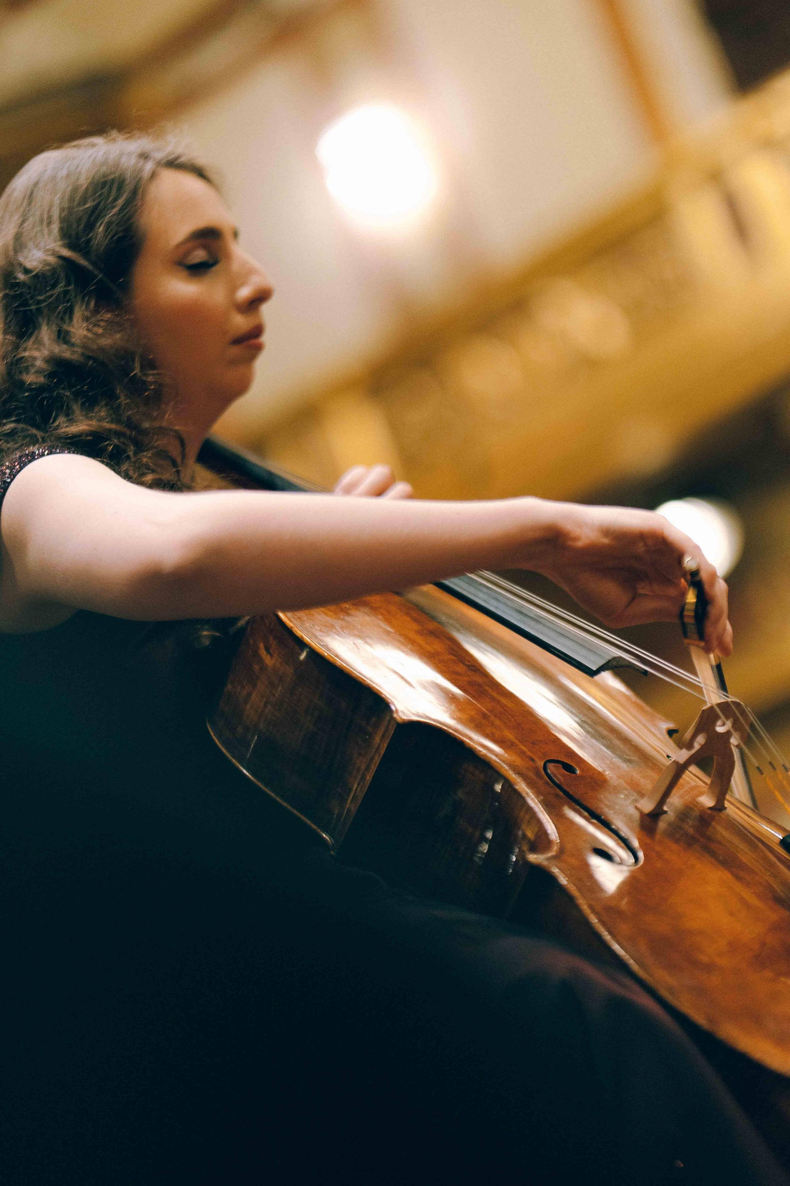 MUSIKVEREIN (VIENNA). Wedding&Event photographer Ismail Rzayev in Baku