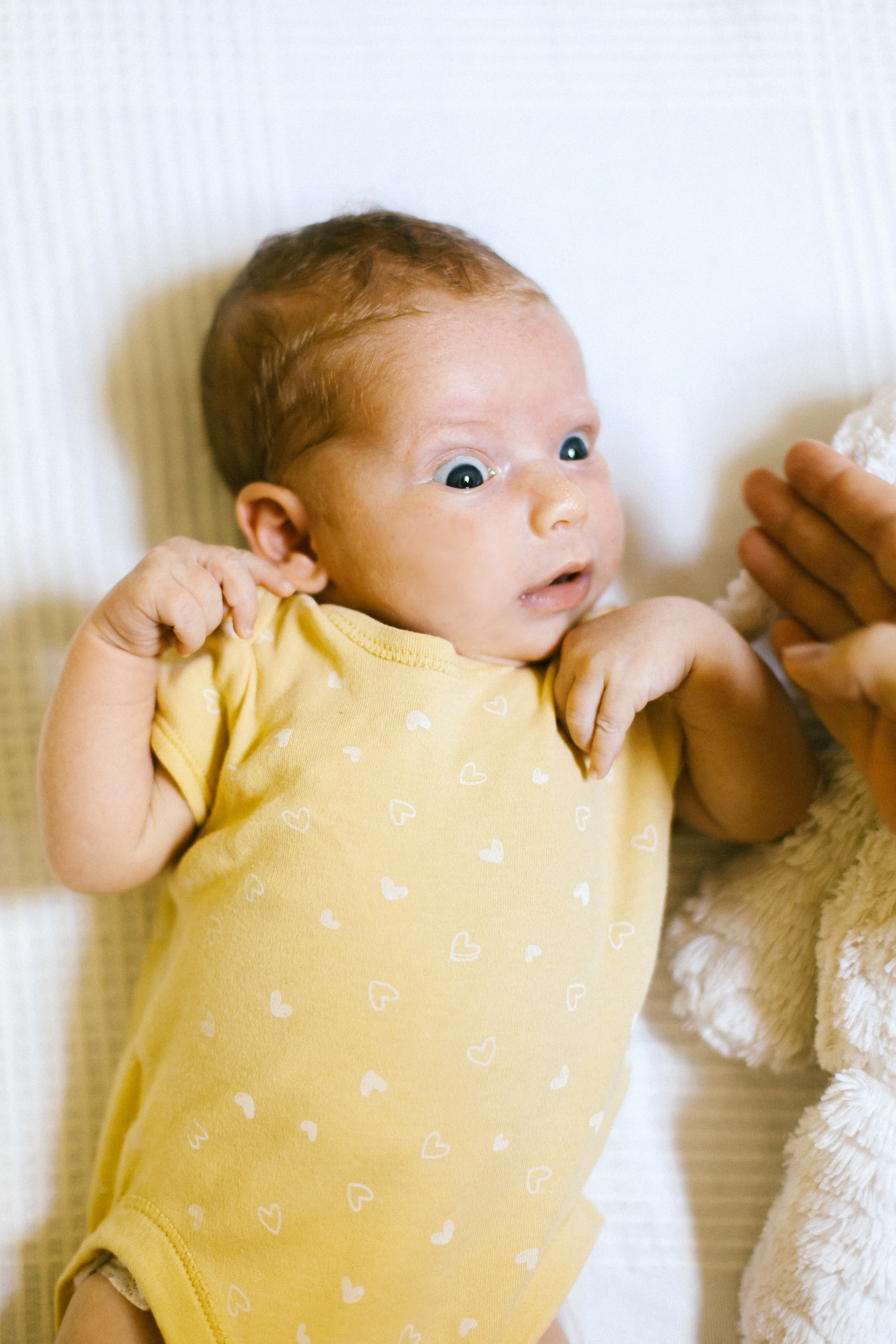 Ella 2 month. Family photographer in Israel