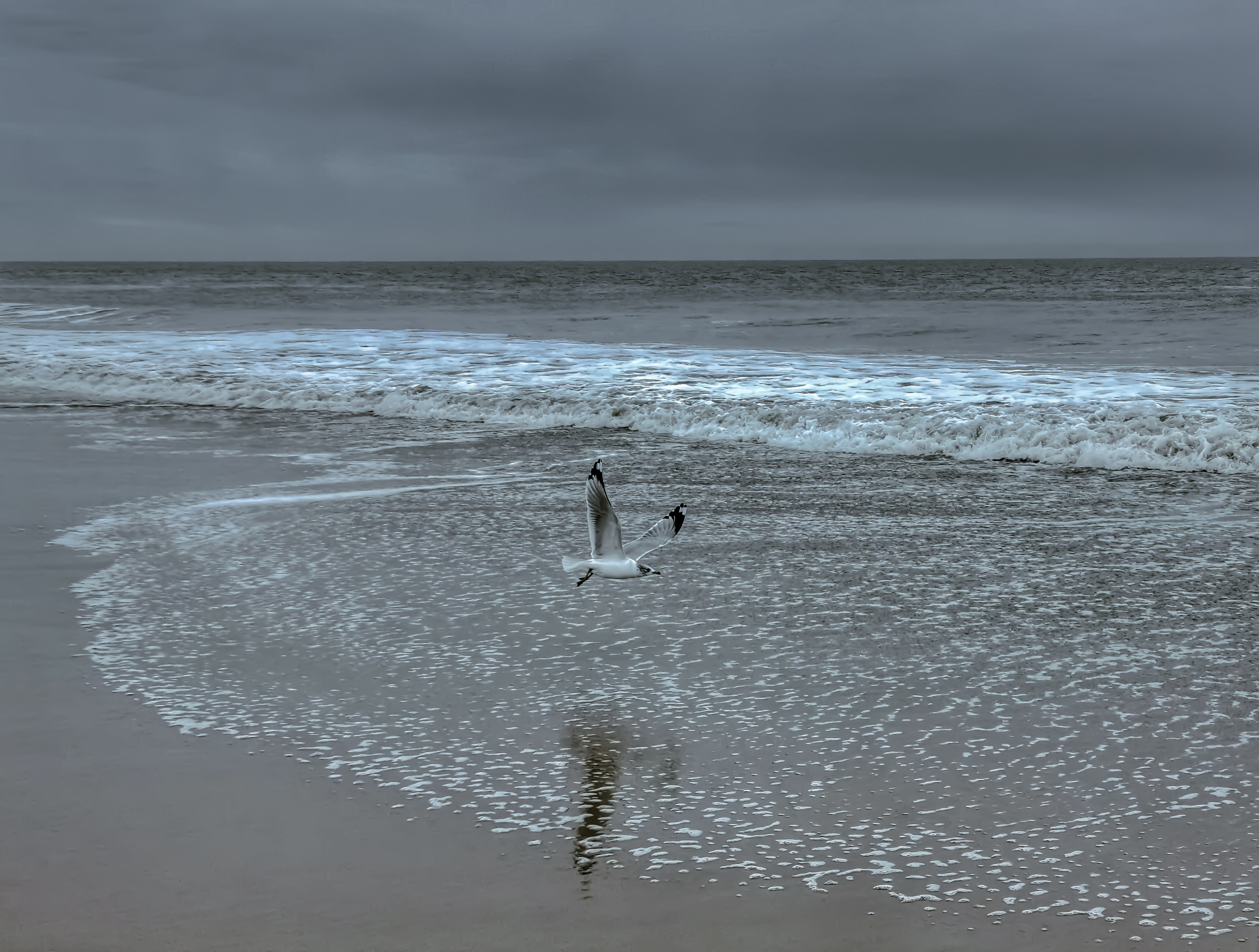 Atlantic Ocean and photo with dreams. Victoria Fedoseenko. Photographer from Serbia