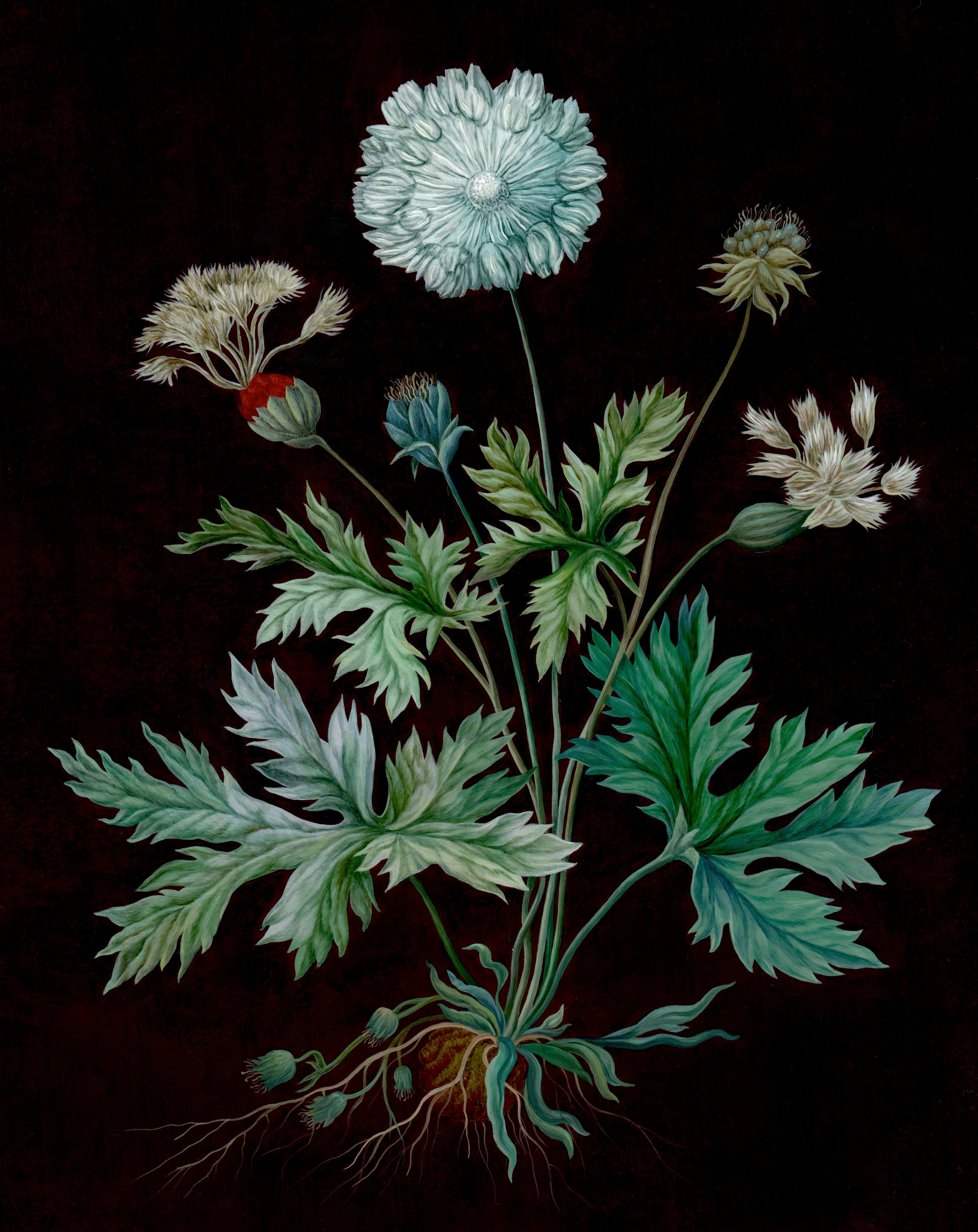 The Plant. ELEN BEZHEN