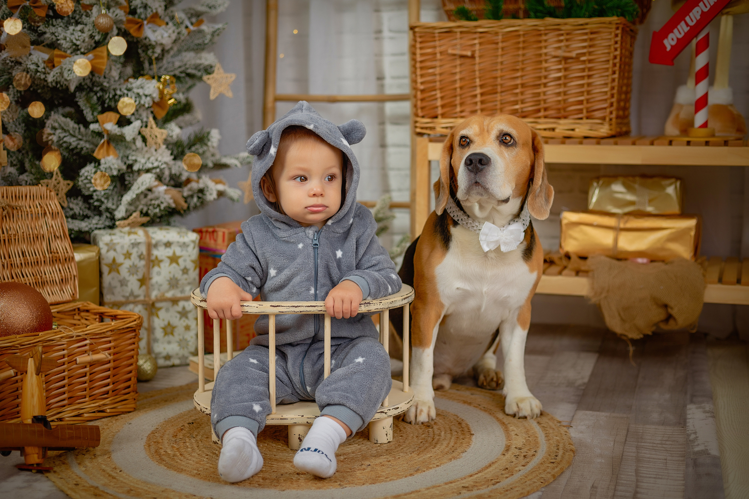 נוביי גוד. דיאנה פרידמן-צלמת משפחה וילדים בישראל