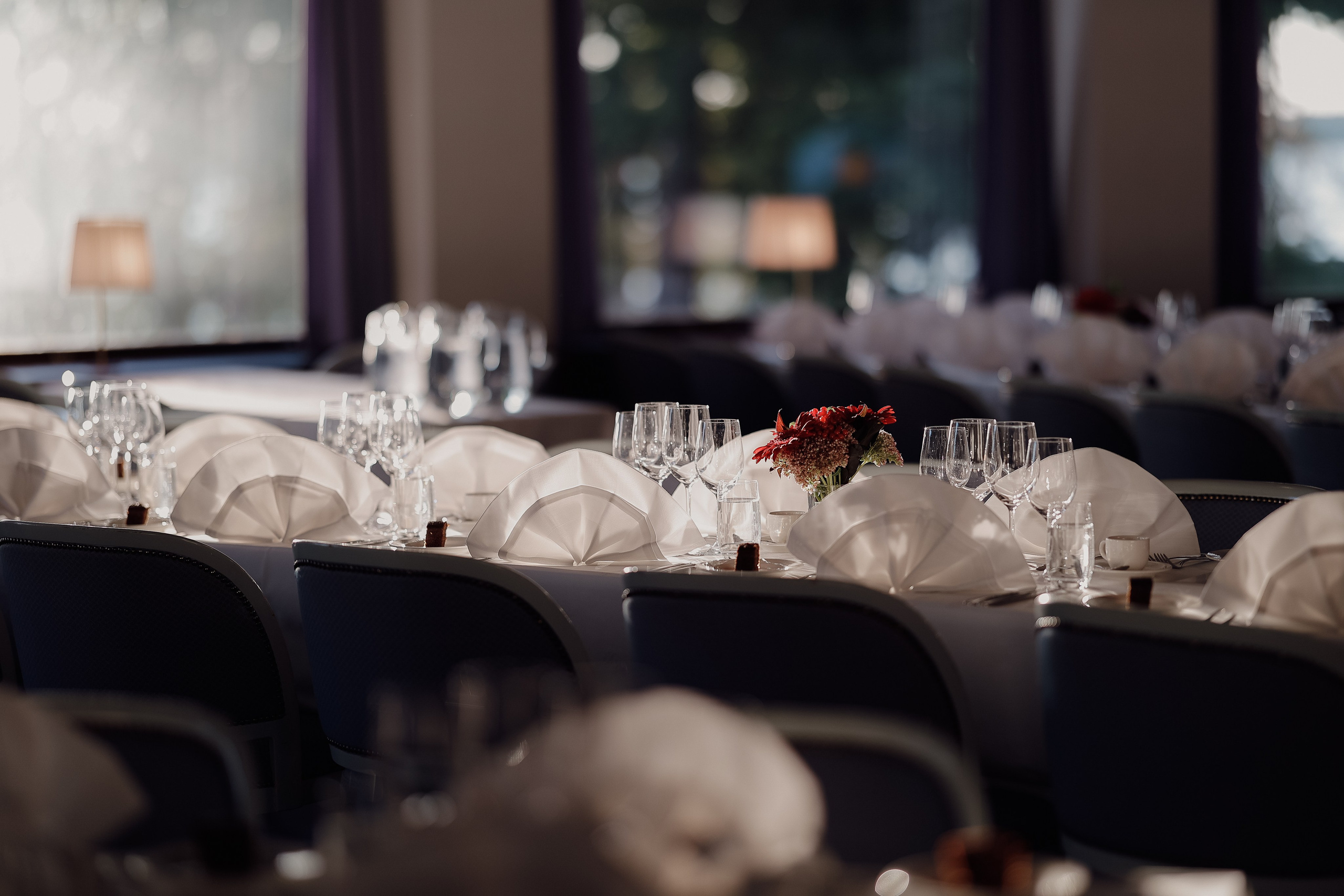 Conferences. Photographer Marina Gargi