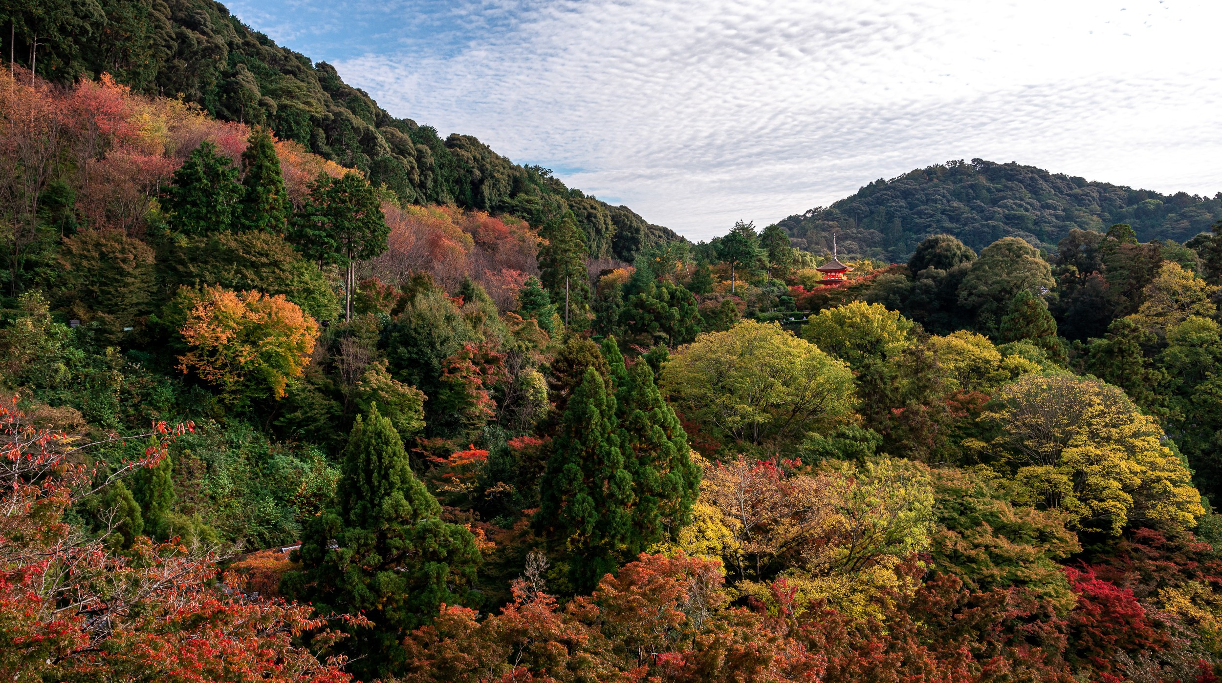 Japan. Marius Ciocan