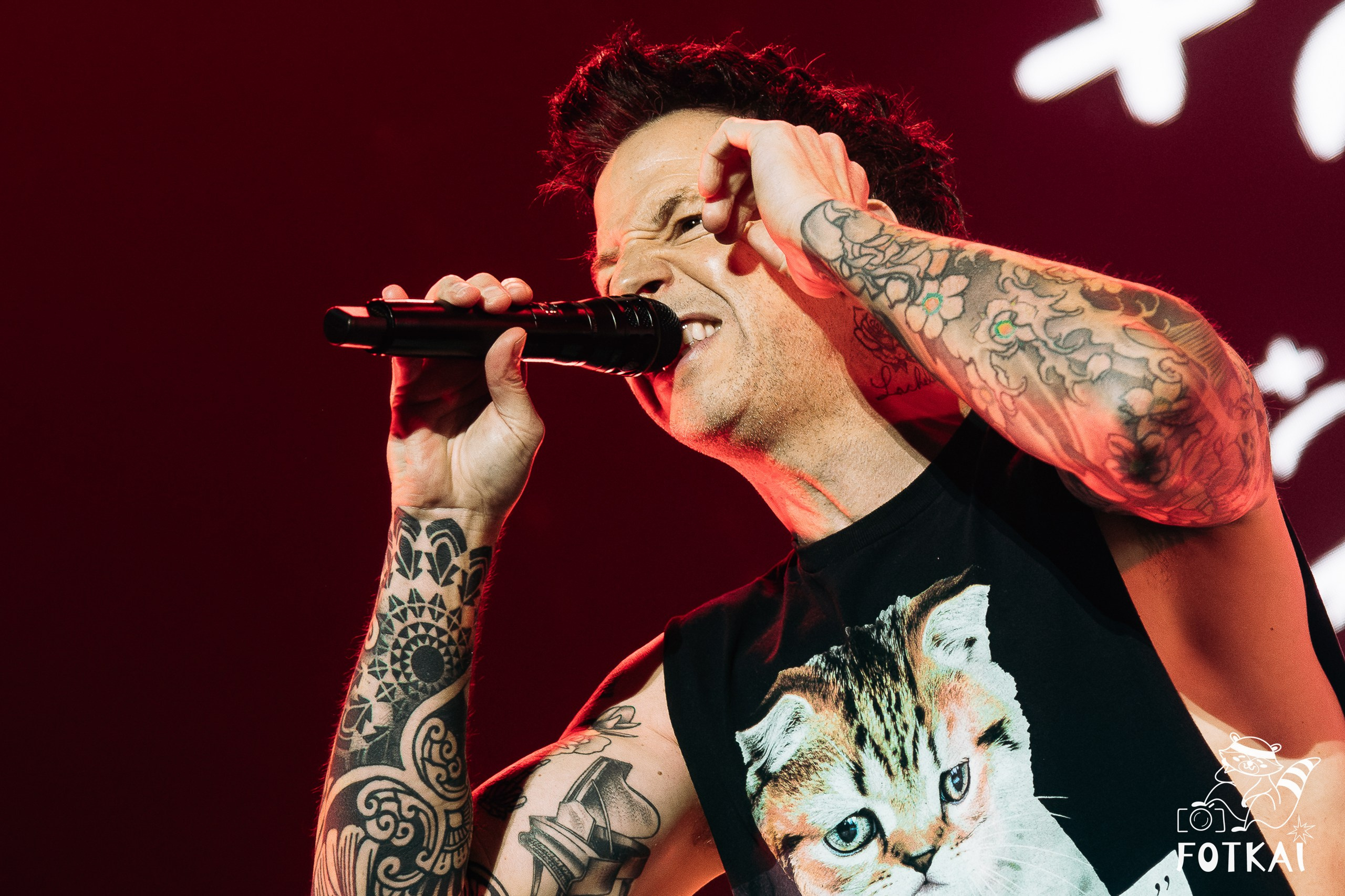 Simple Plan Marked 25 Years at Palacio Vistalegre in Madrid: Pop-Punk Concert Photos, 2026 | FOTKAI