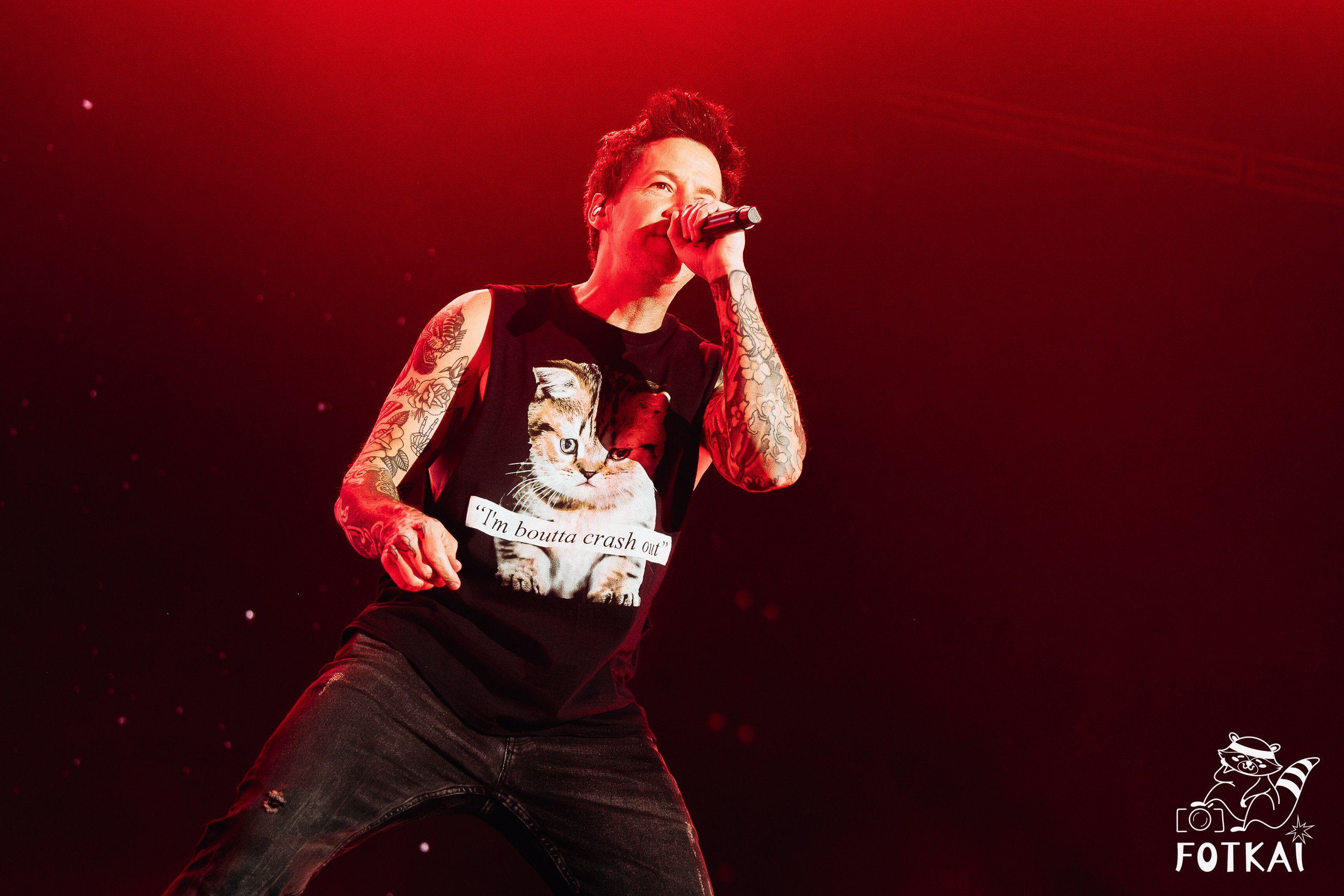 Simple Plan Marked 25 Years at Palacio Vistalegre in Madrid: Pop-Punk Concert Photos, 2026 | FOTKAI