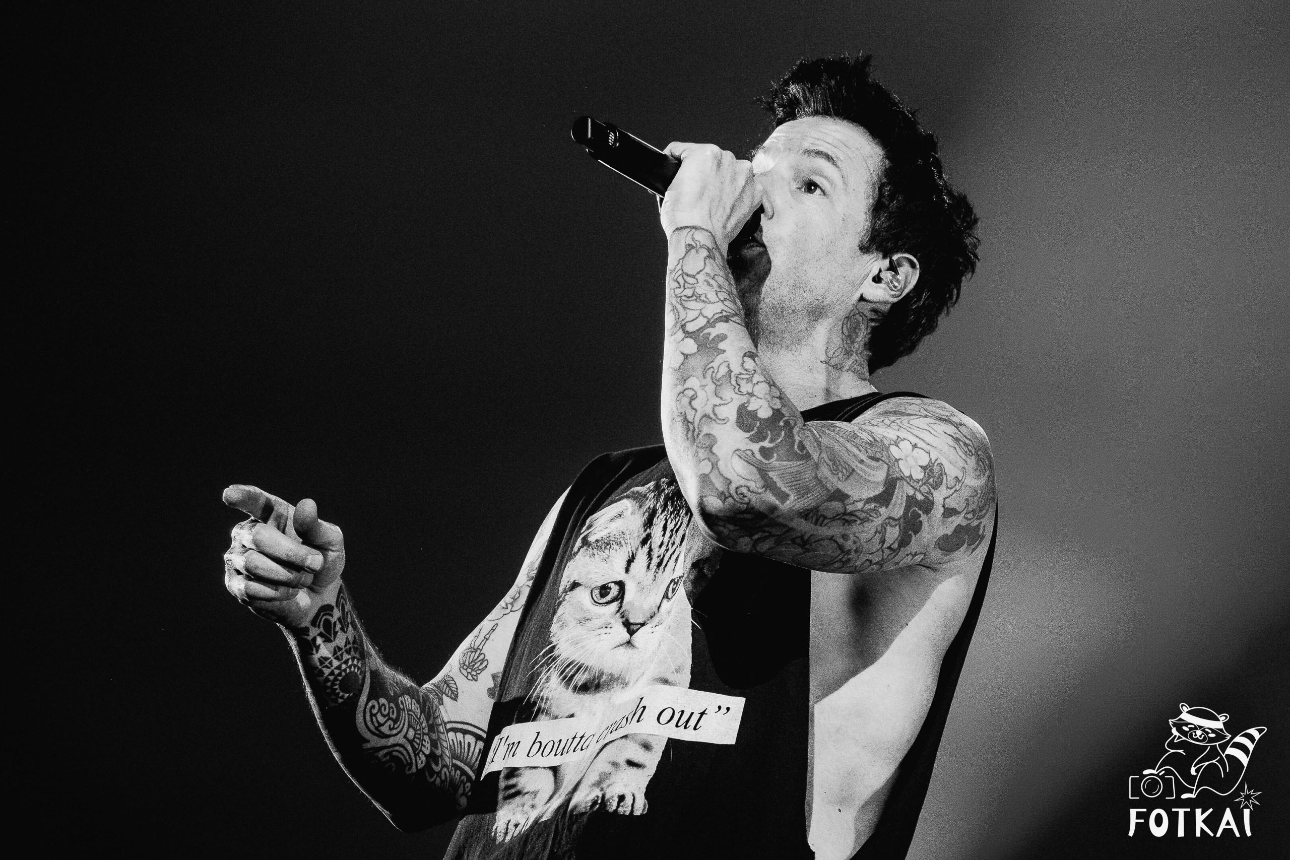 Simple Plan Marked 25 Years at Palacio Vistalegre in Madrid: Pop-Punk Concert Photos, 2026 | FOTKAI