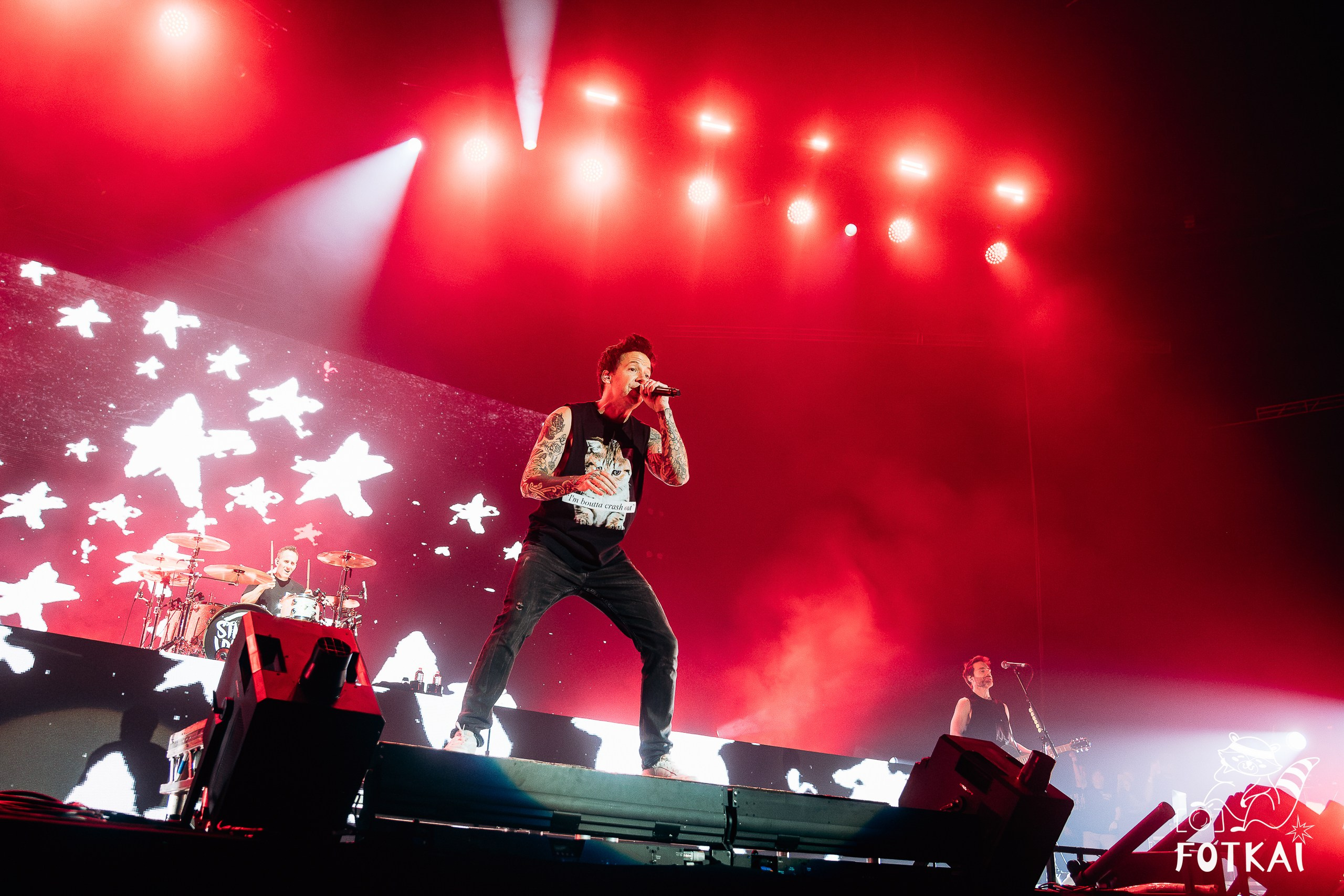 Simple Plan Marked 25 Years at Palacio Vistalegre in Madrid: Pop-Punk Concert Photos, 2026 | FOTKAI